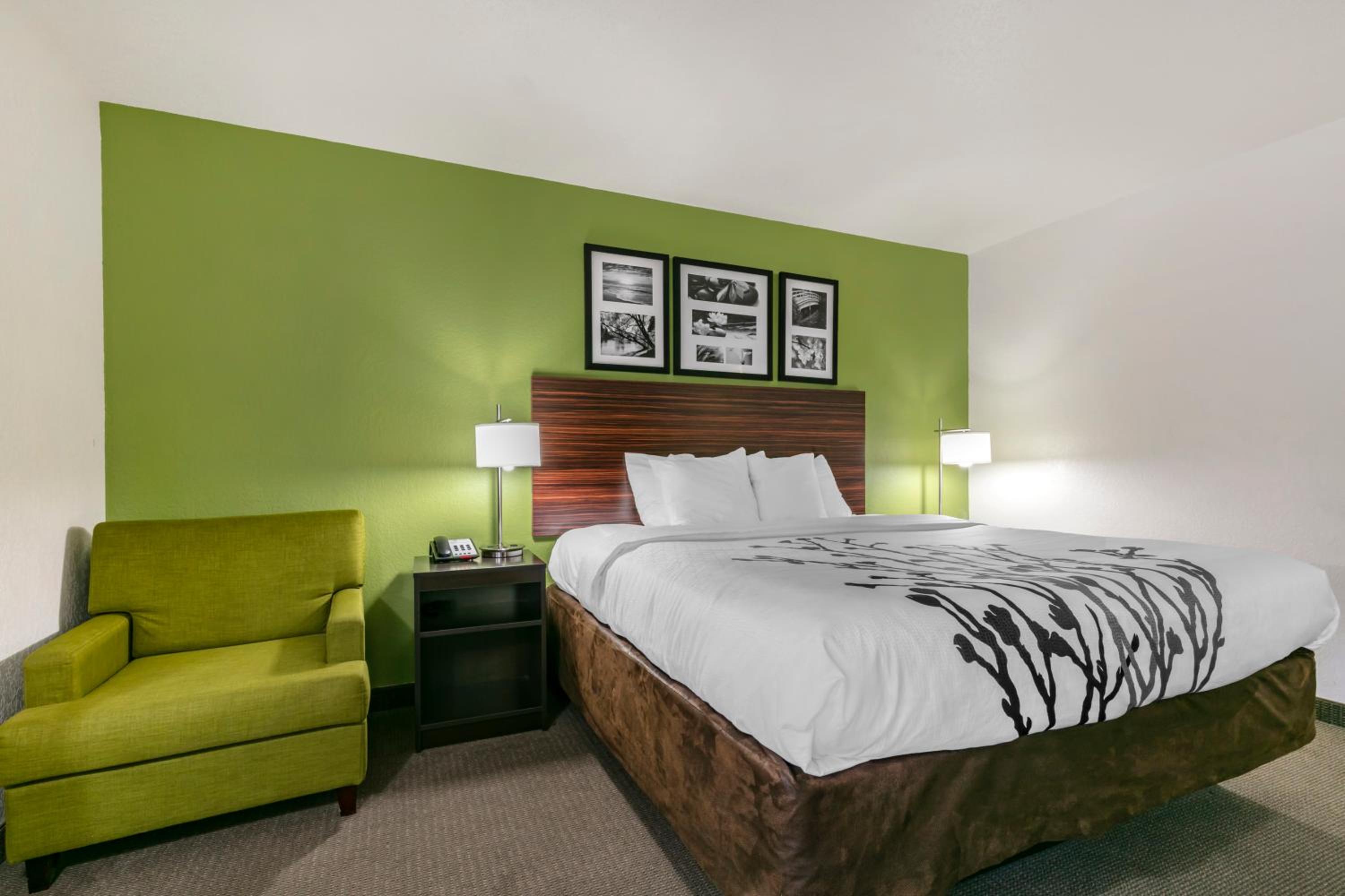King Room - Accessible/Non-Smoking - Photo 1