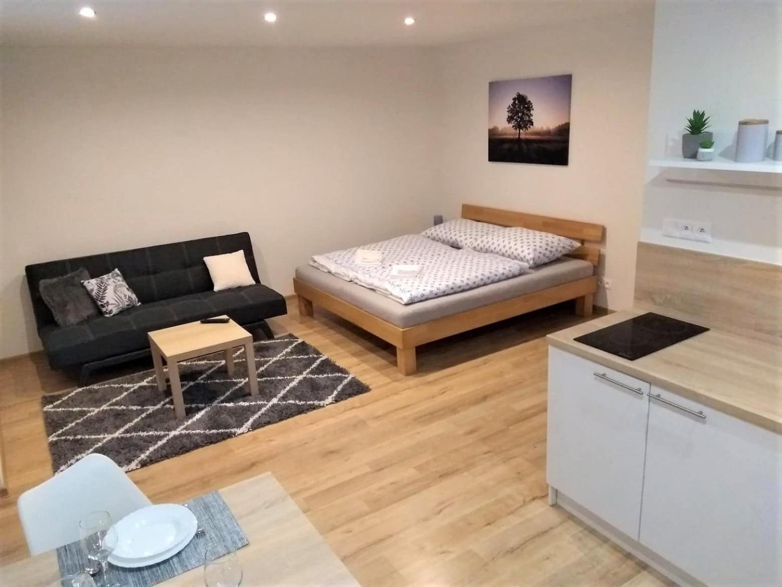Studio Apartment