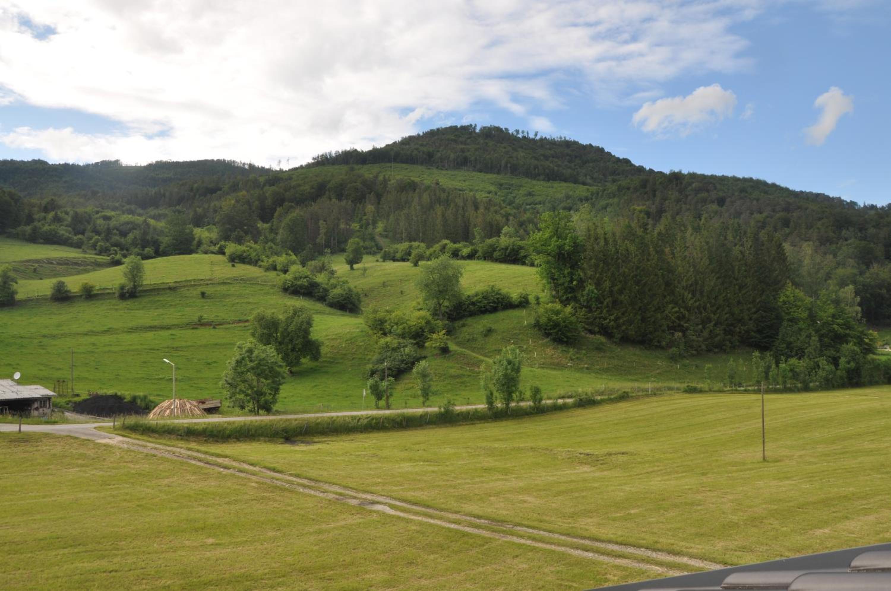 Mostheuriger Steyrdurchbruchalm , Zdjęcie 15
