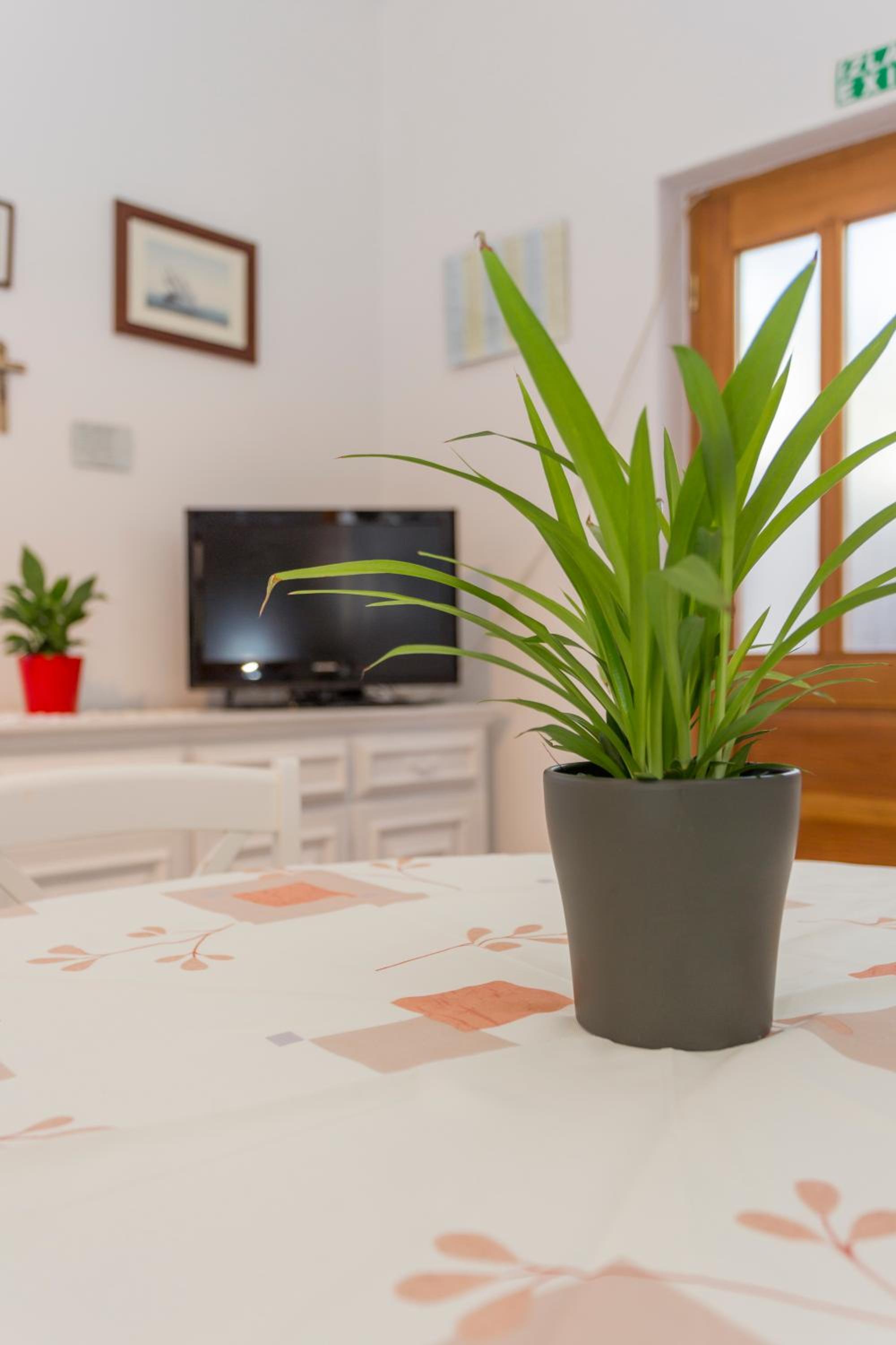 Apartment with Terrace - Photo 24