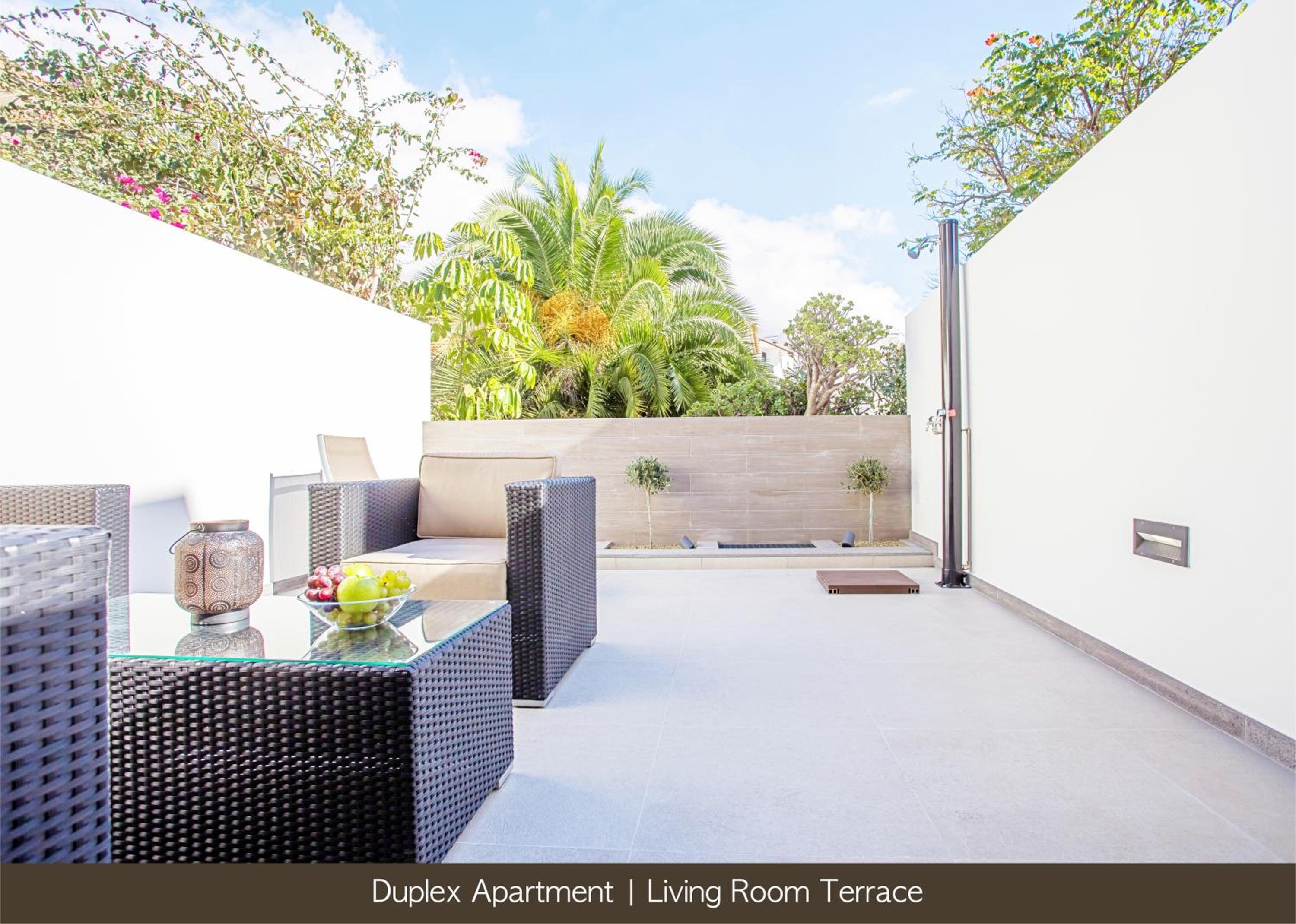 Duplex Apartment photo 3