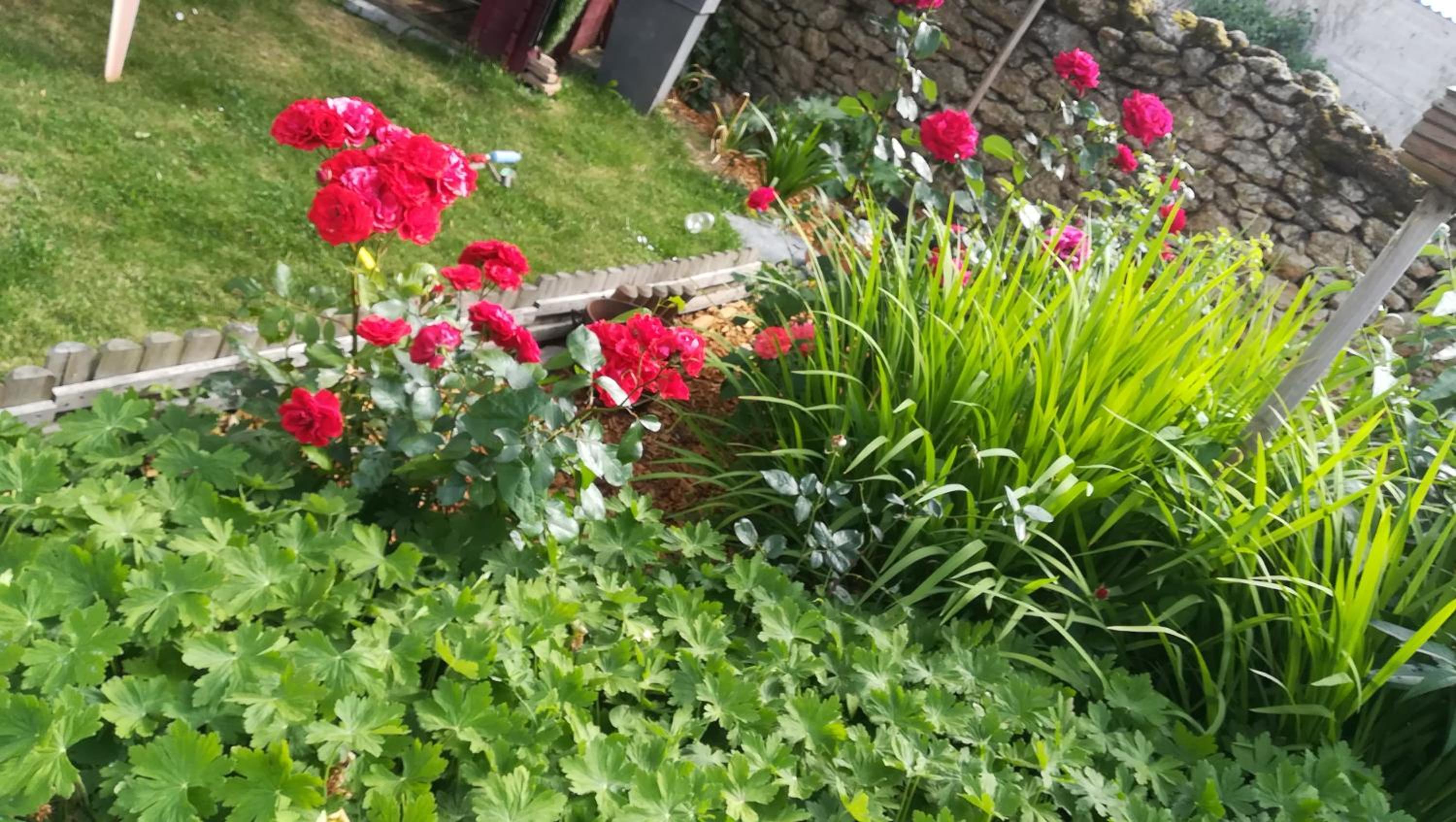 Double Room with Garden View - Photo 1
