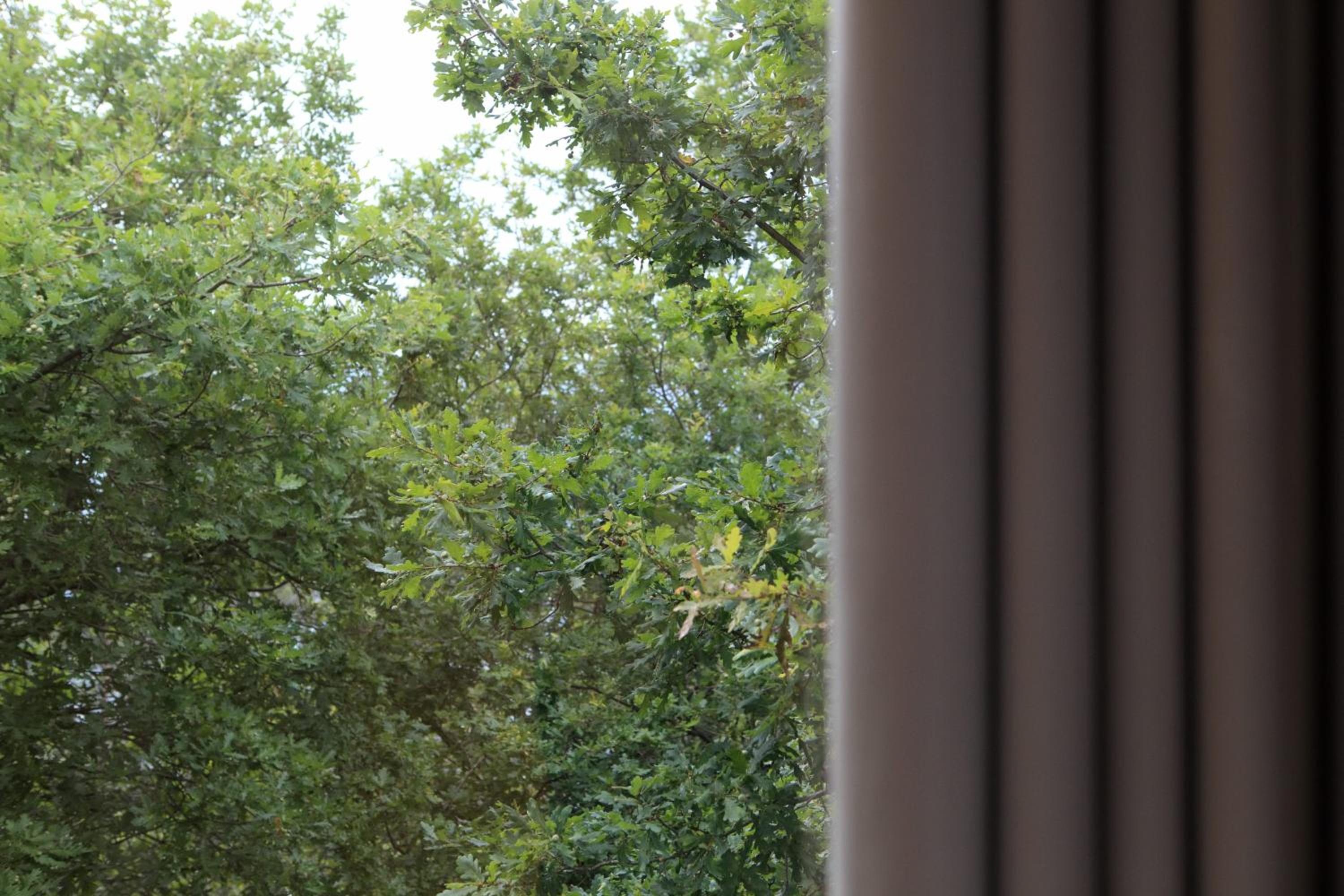 Double Room with Mountain View - Photo 5