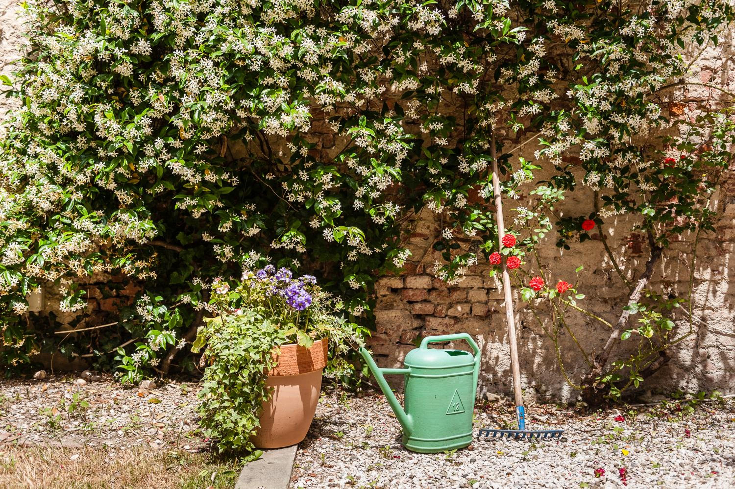 Apartment with Garden View - Photo 4