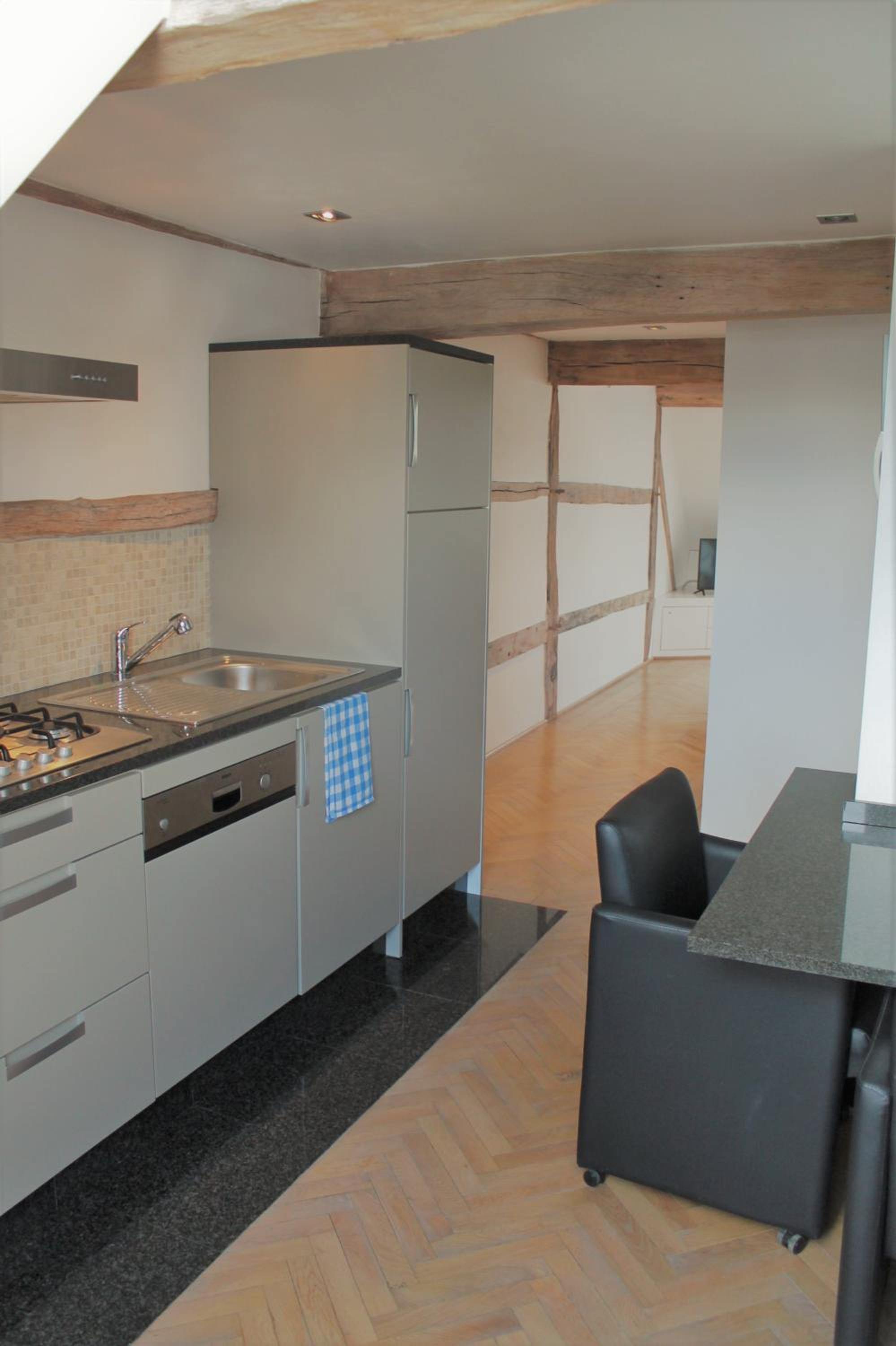 Duplex Apartment photo 3