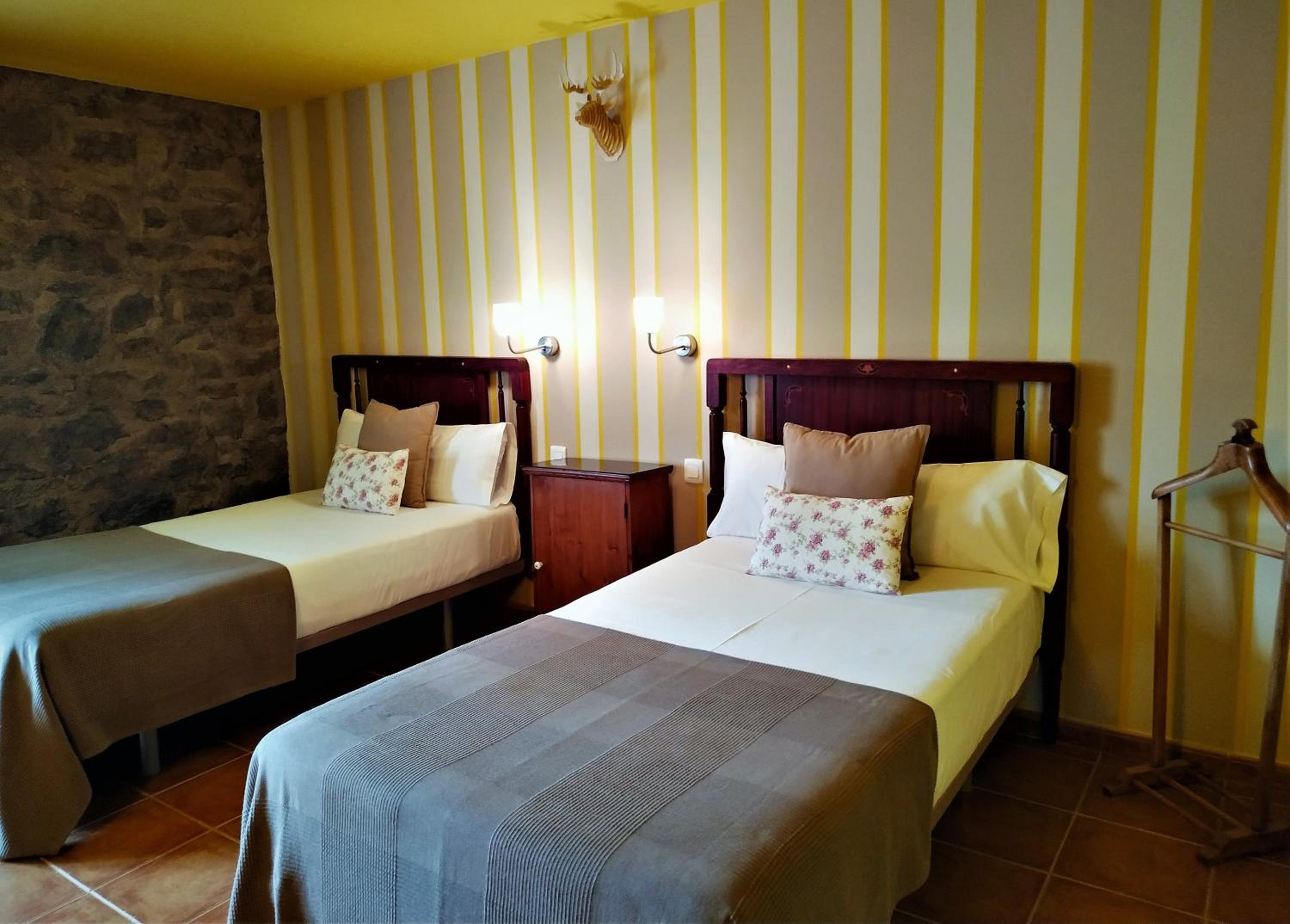 Twin Room photo 3
