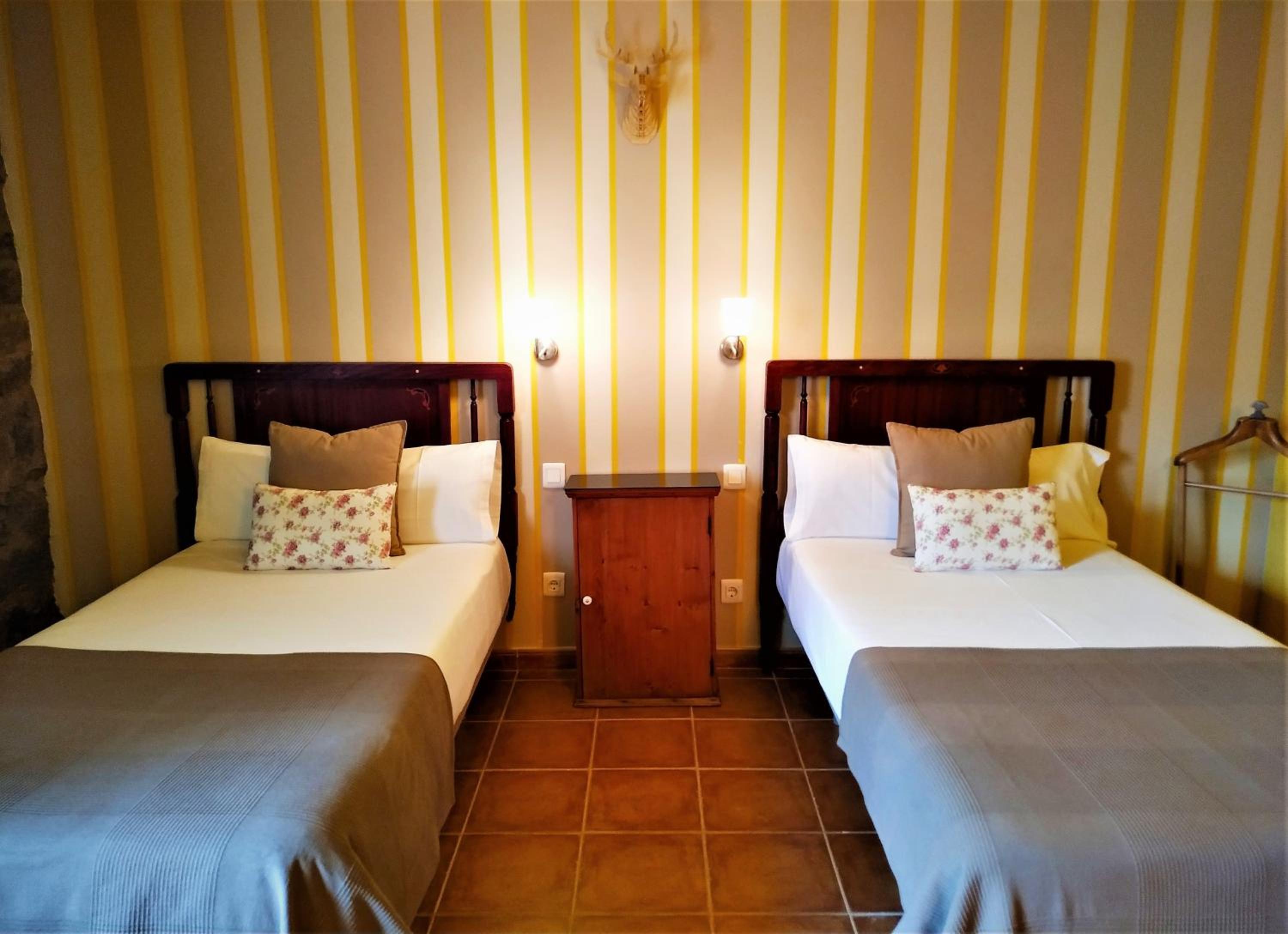 Twin Room photo 2