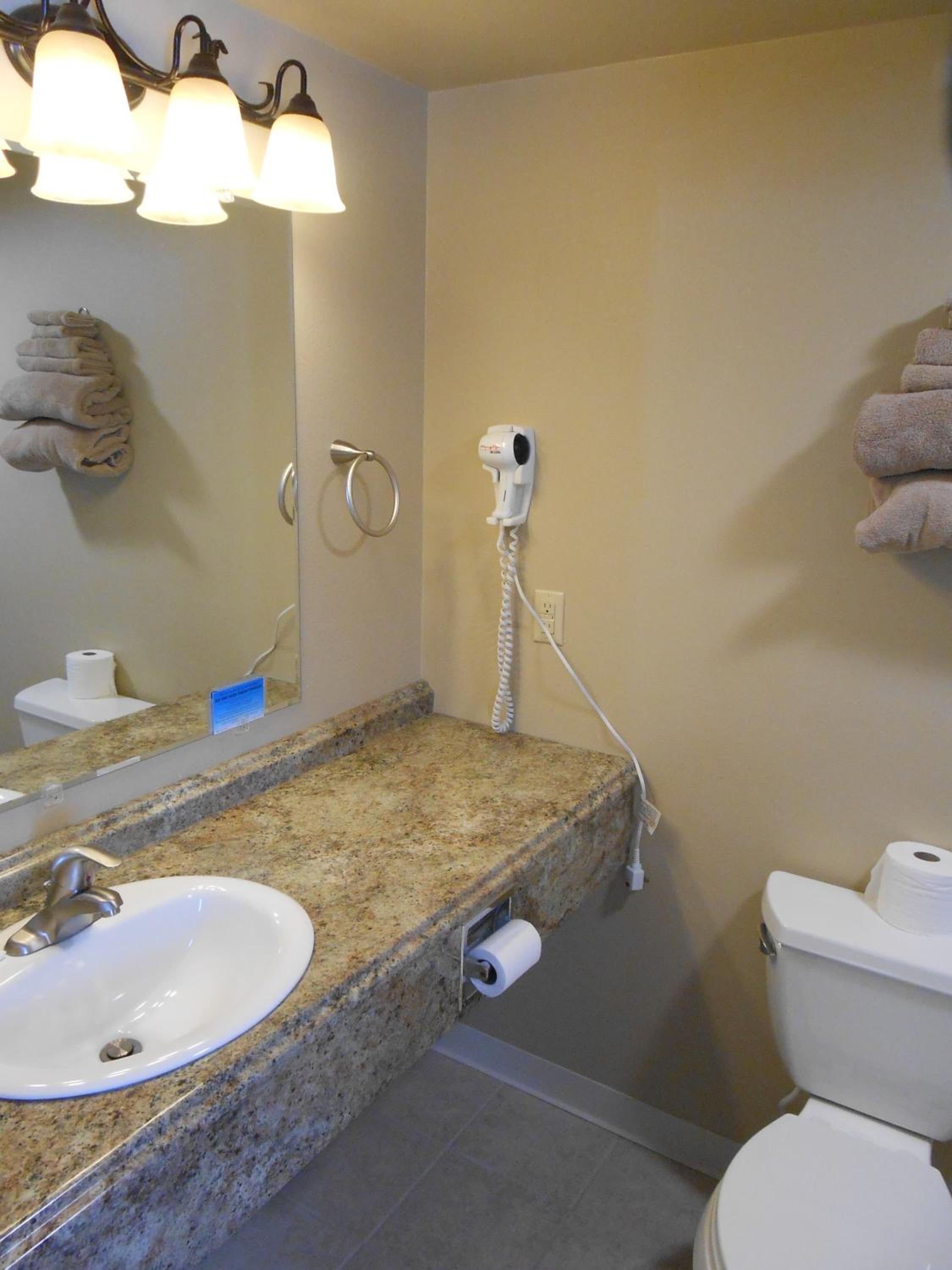 Deluxe Single Room photo 3
