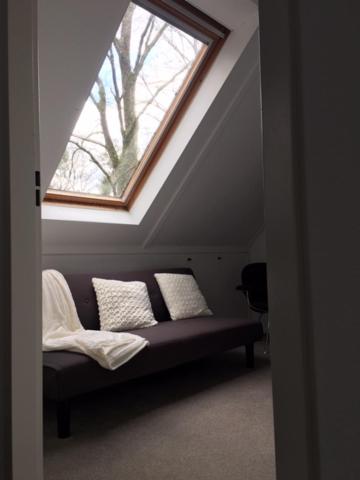 Three-Bedroom House photo 3