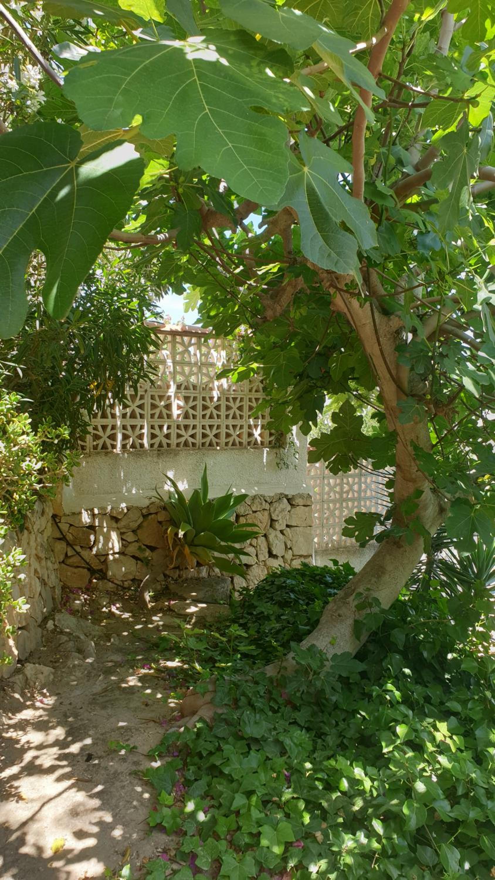 Three-Bedroom Villa photo 3