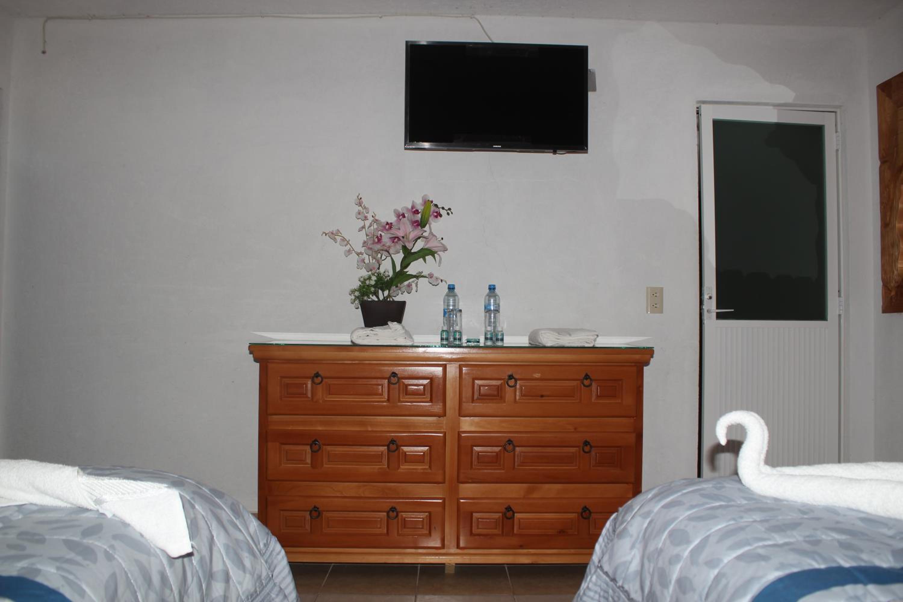 Twin Room photo 3