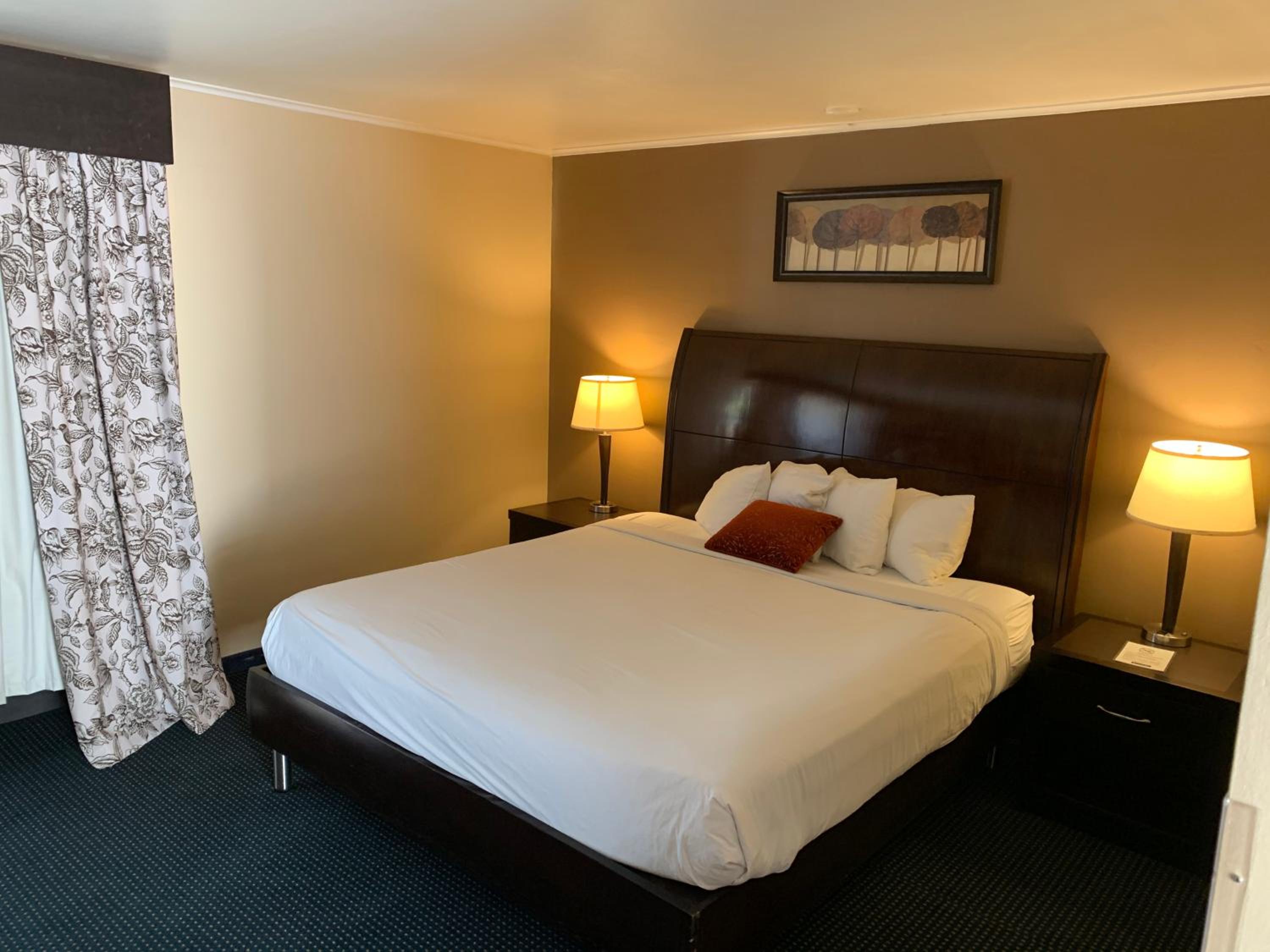 King Room - Non-Smoking - Photo 11