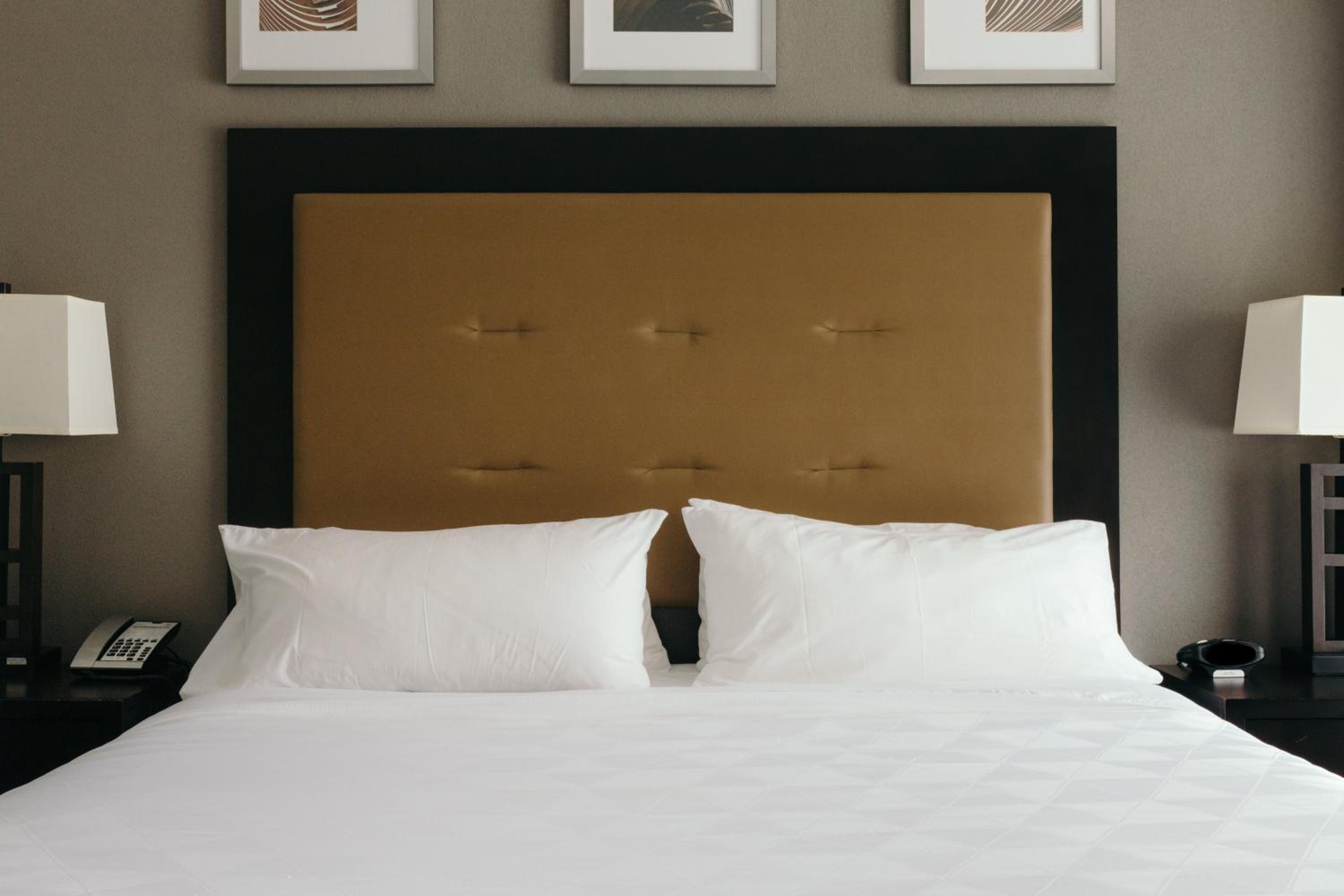 Junior King Suite
