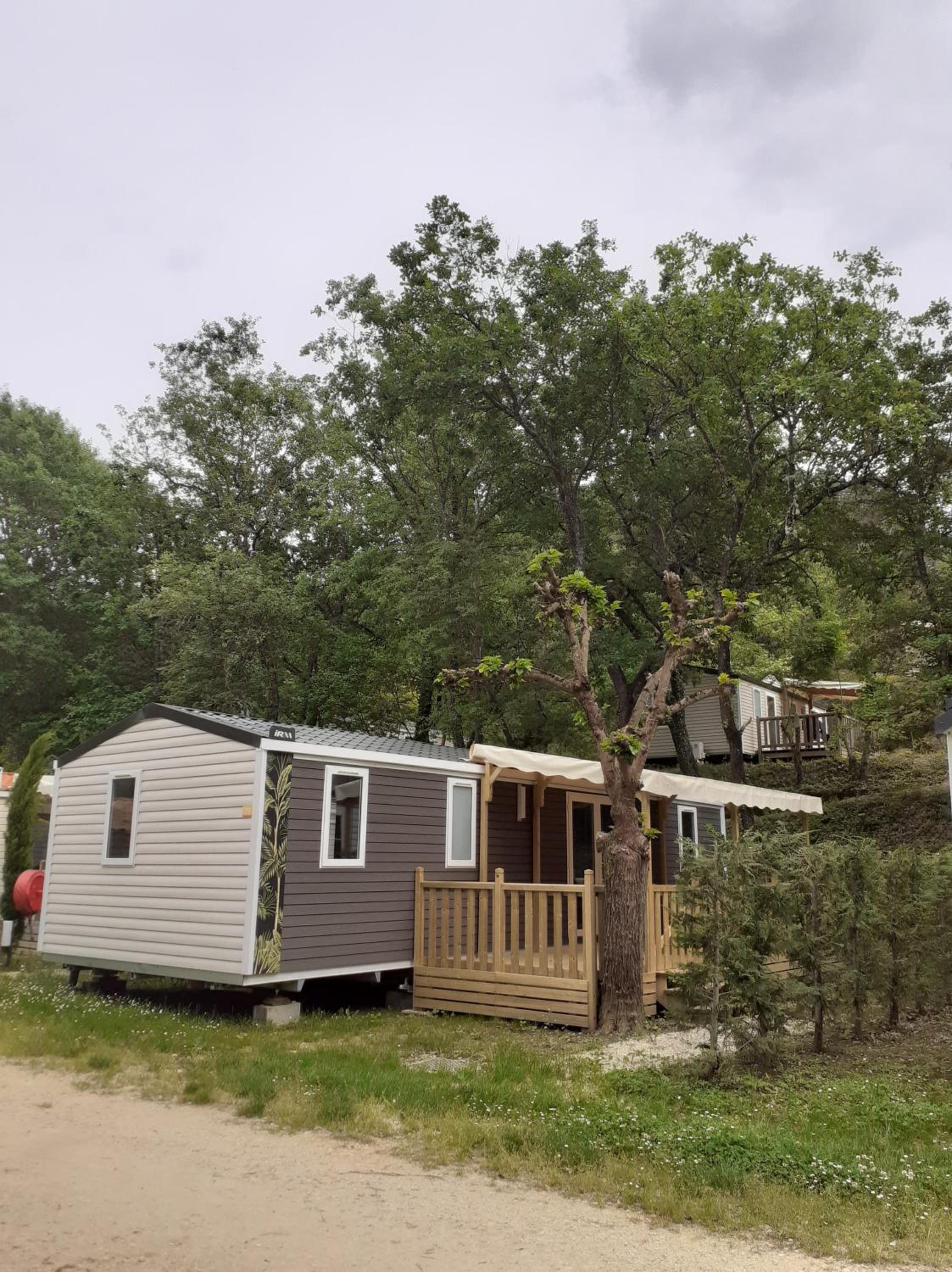 Mobile Home photo 1