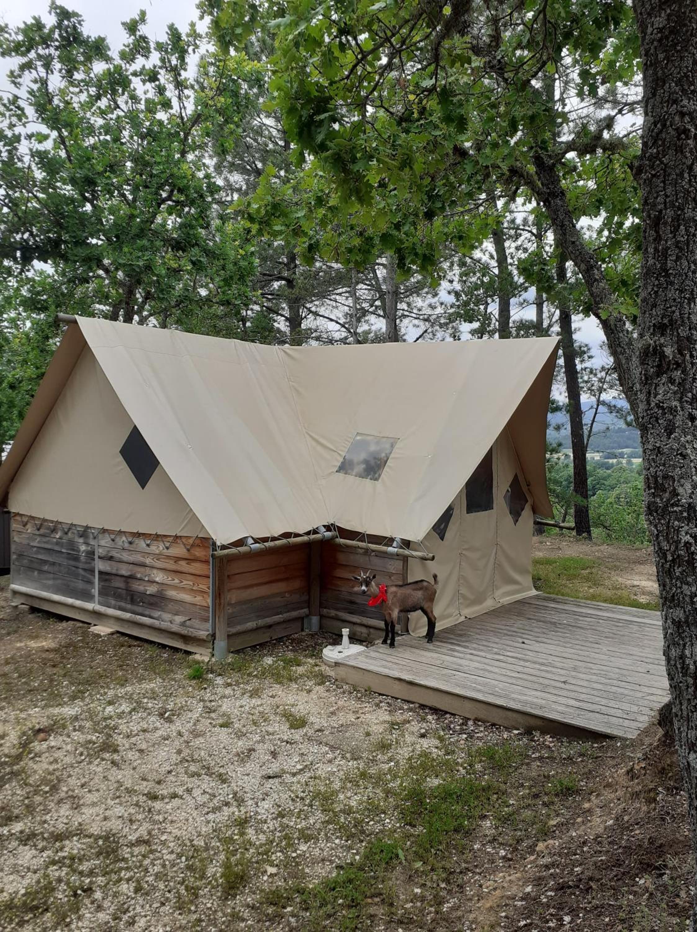 Tent - Photo 1