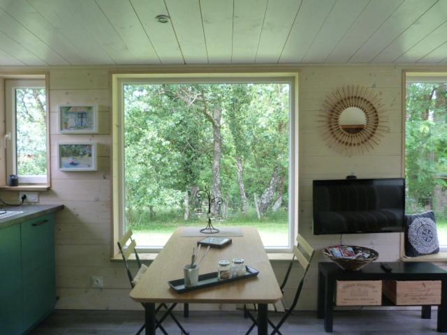 Apartment with Terrace photo 2
