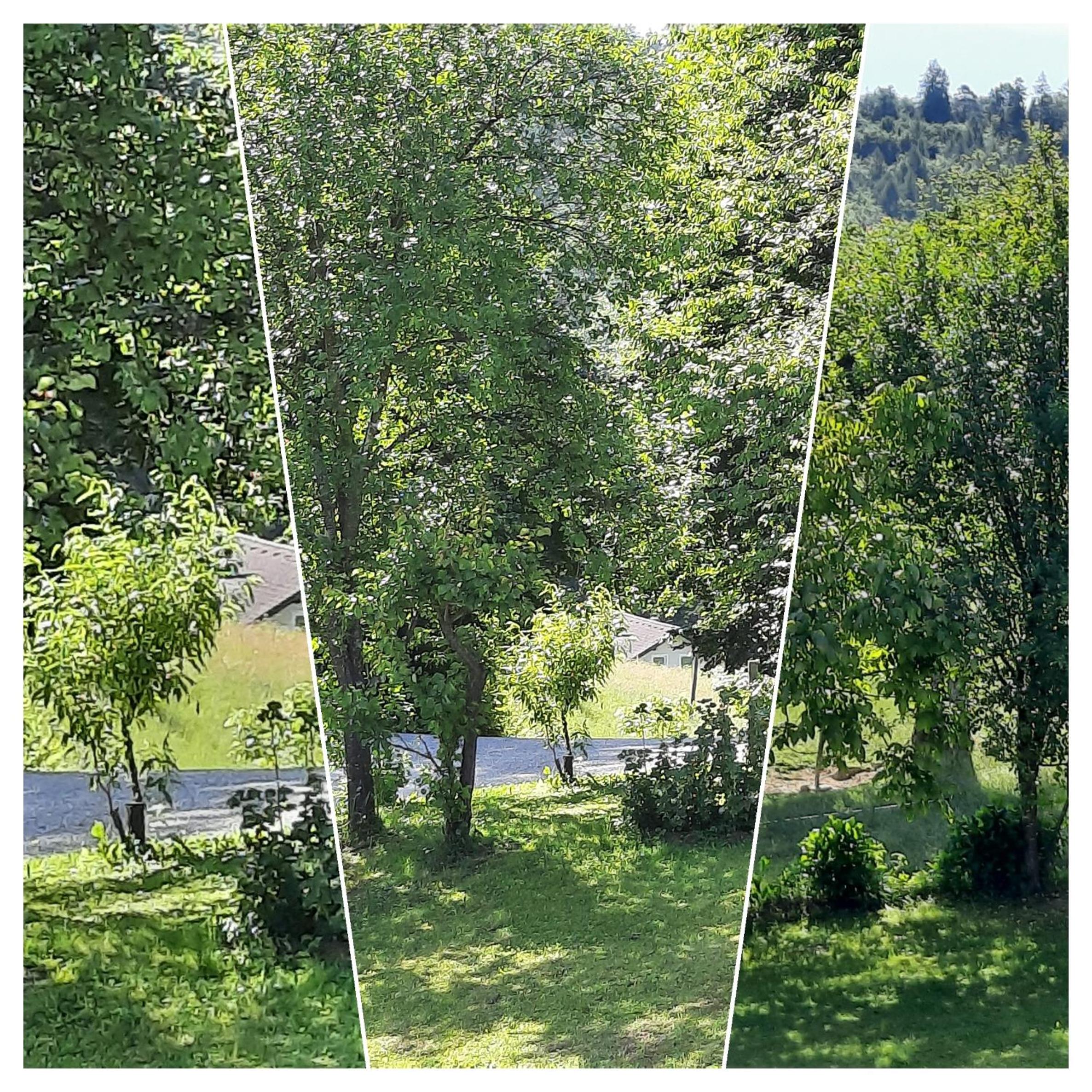 Vacation Home - Photo 72