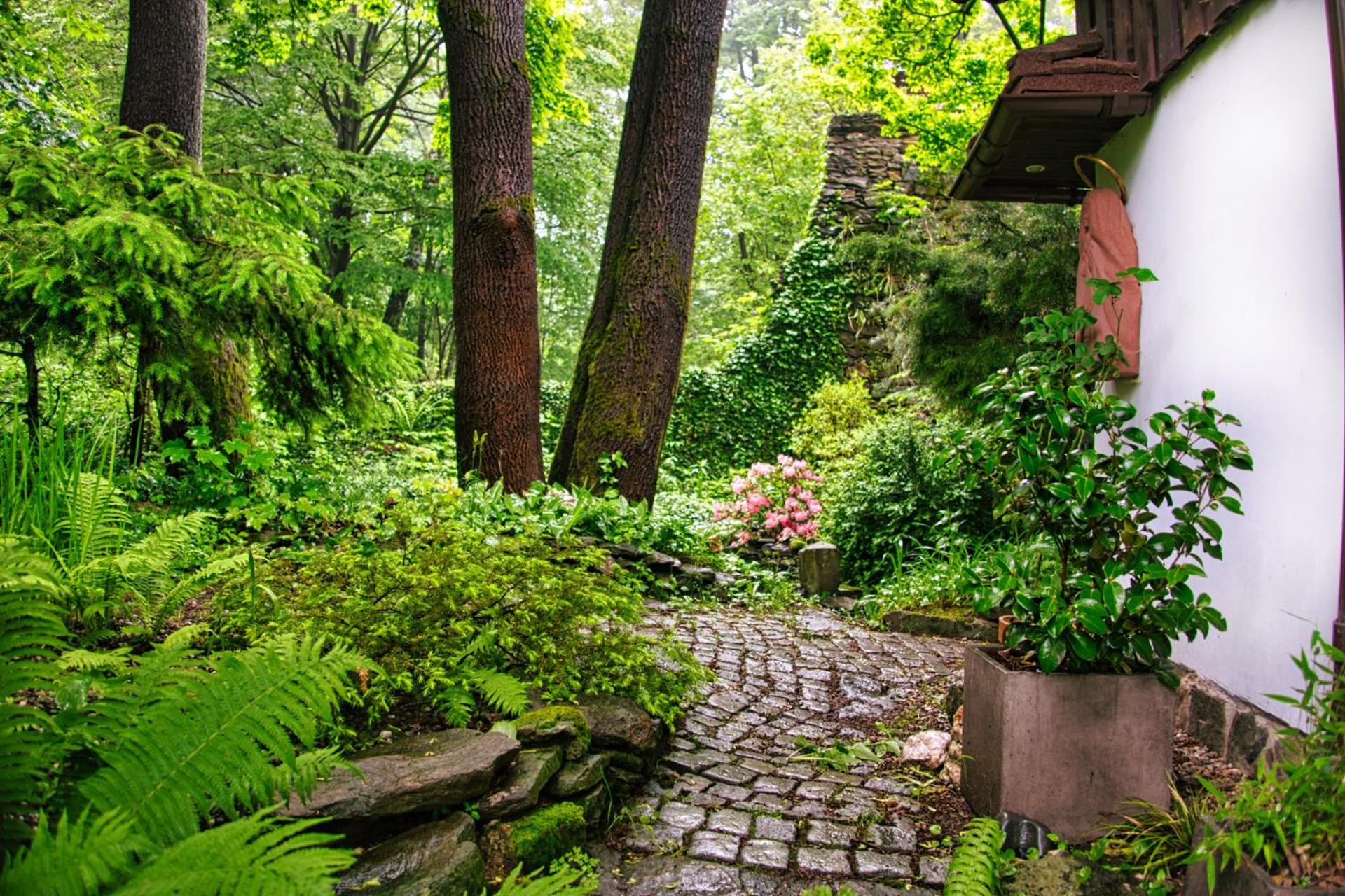 Studio With Garden View photo 3
