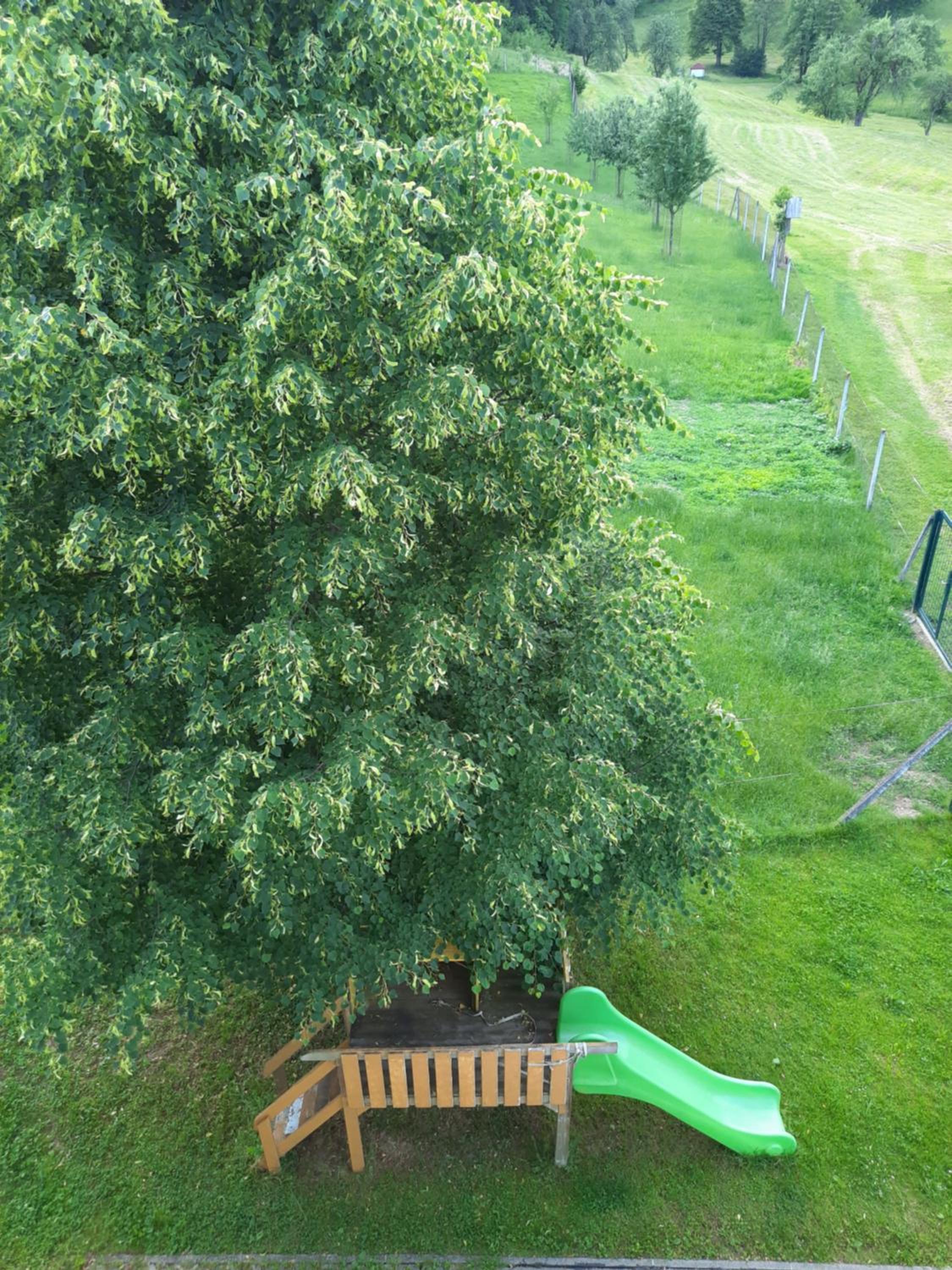 Vacation Home - Photo 68