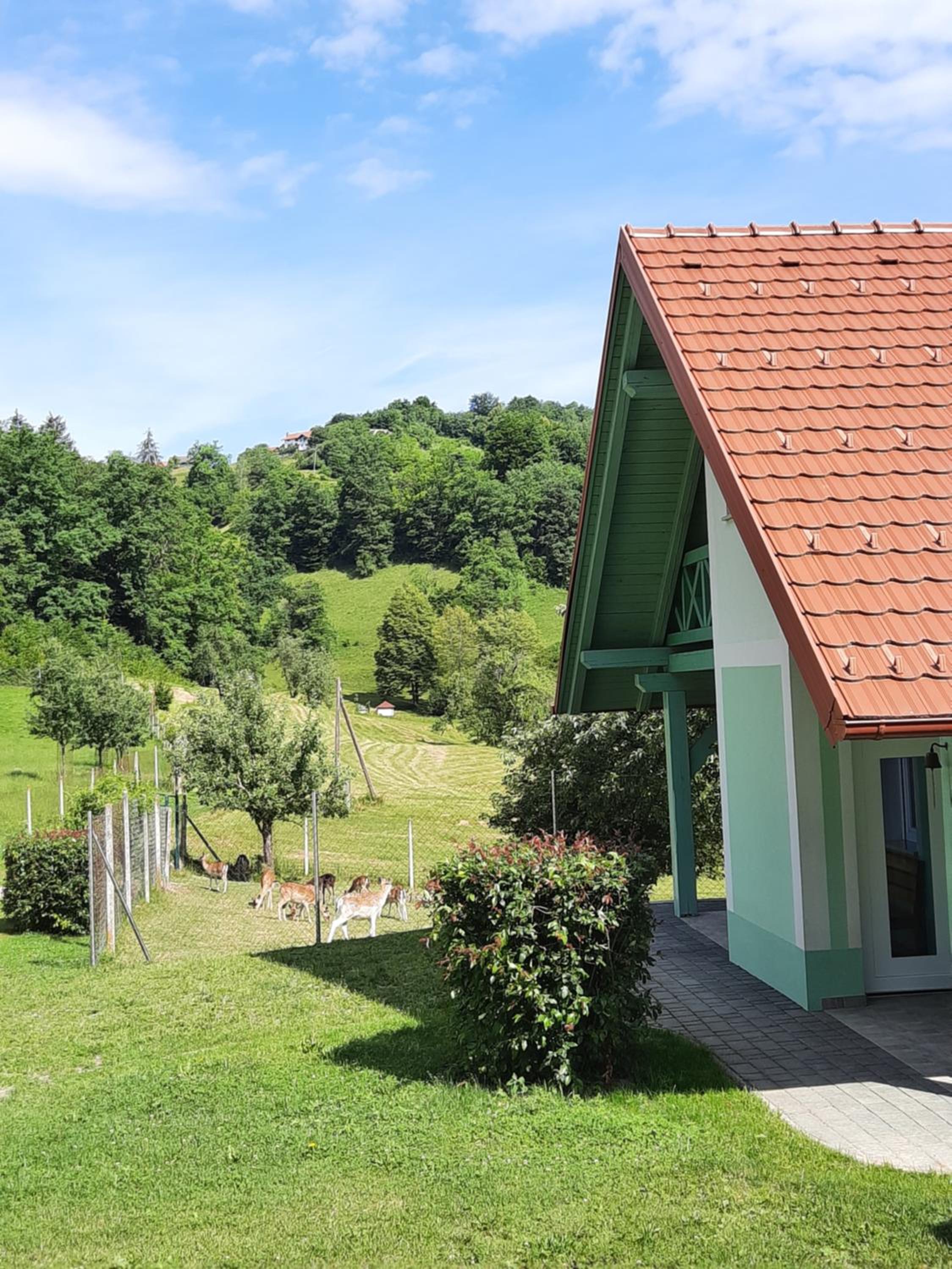 Vacation Home - Photo 66