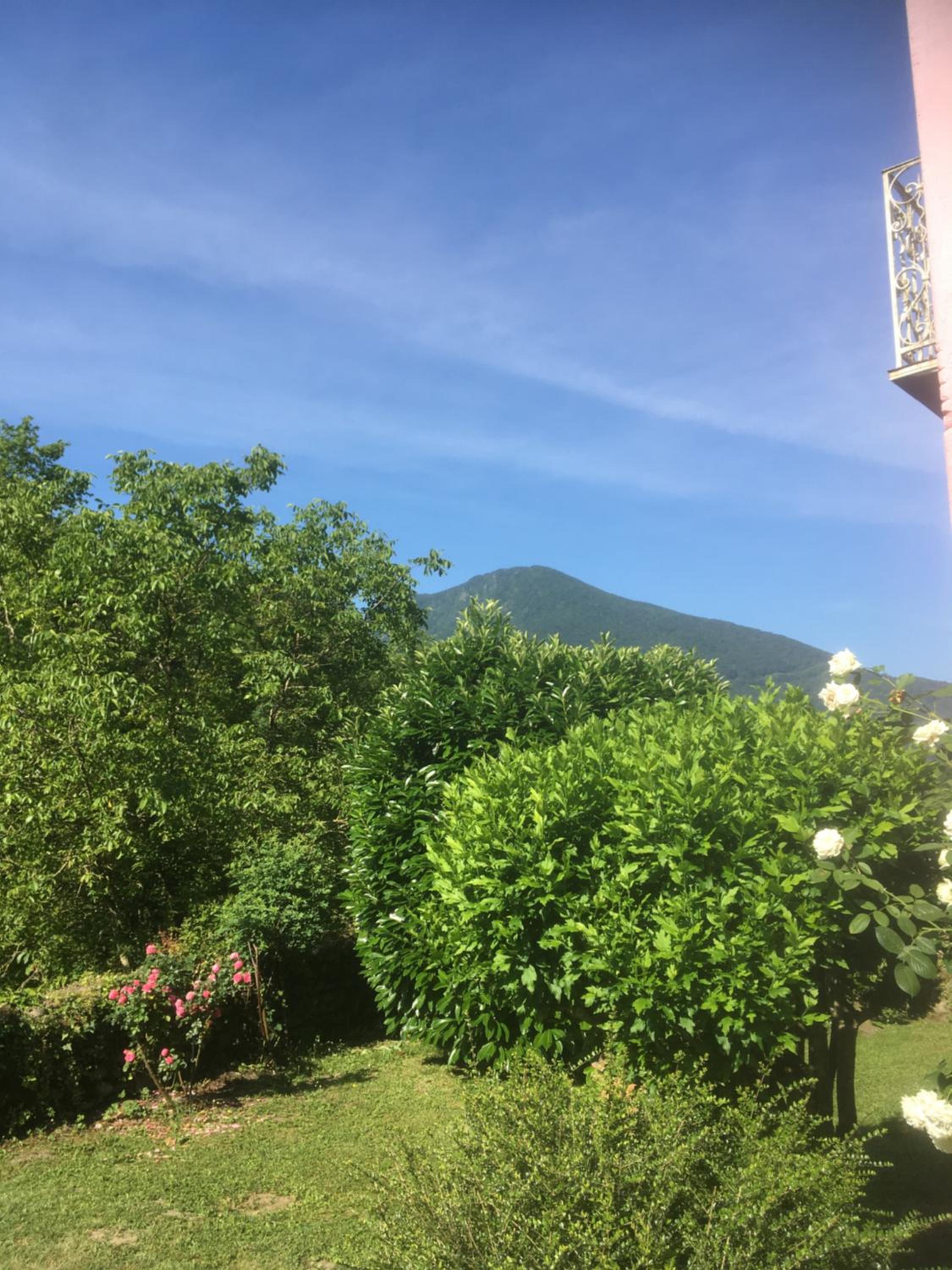 Double Room with Pool View photo 1