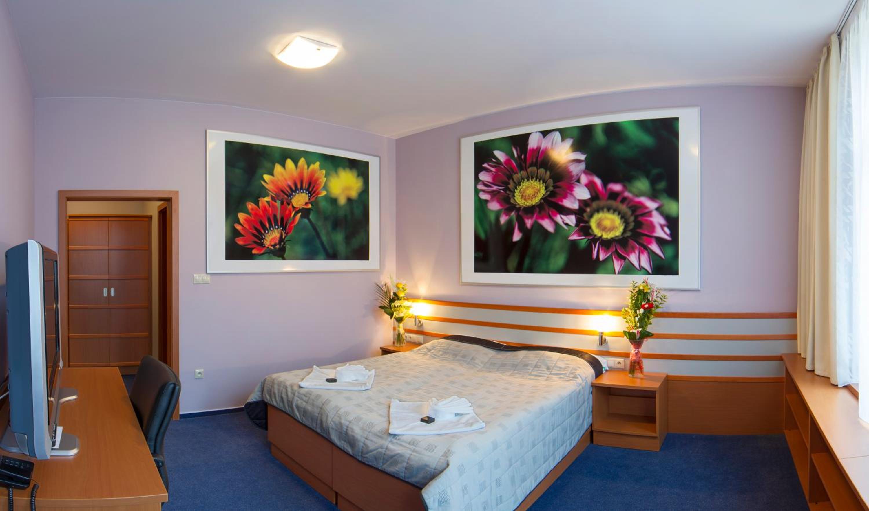 Comfort Double Room photo 1