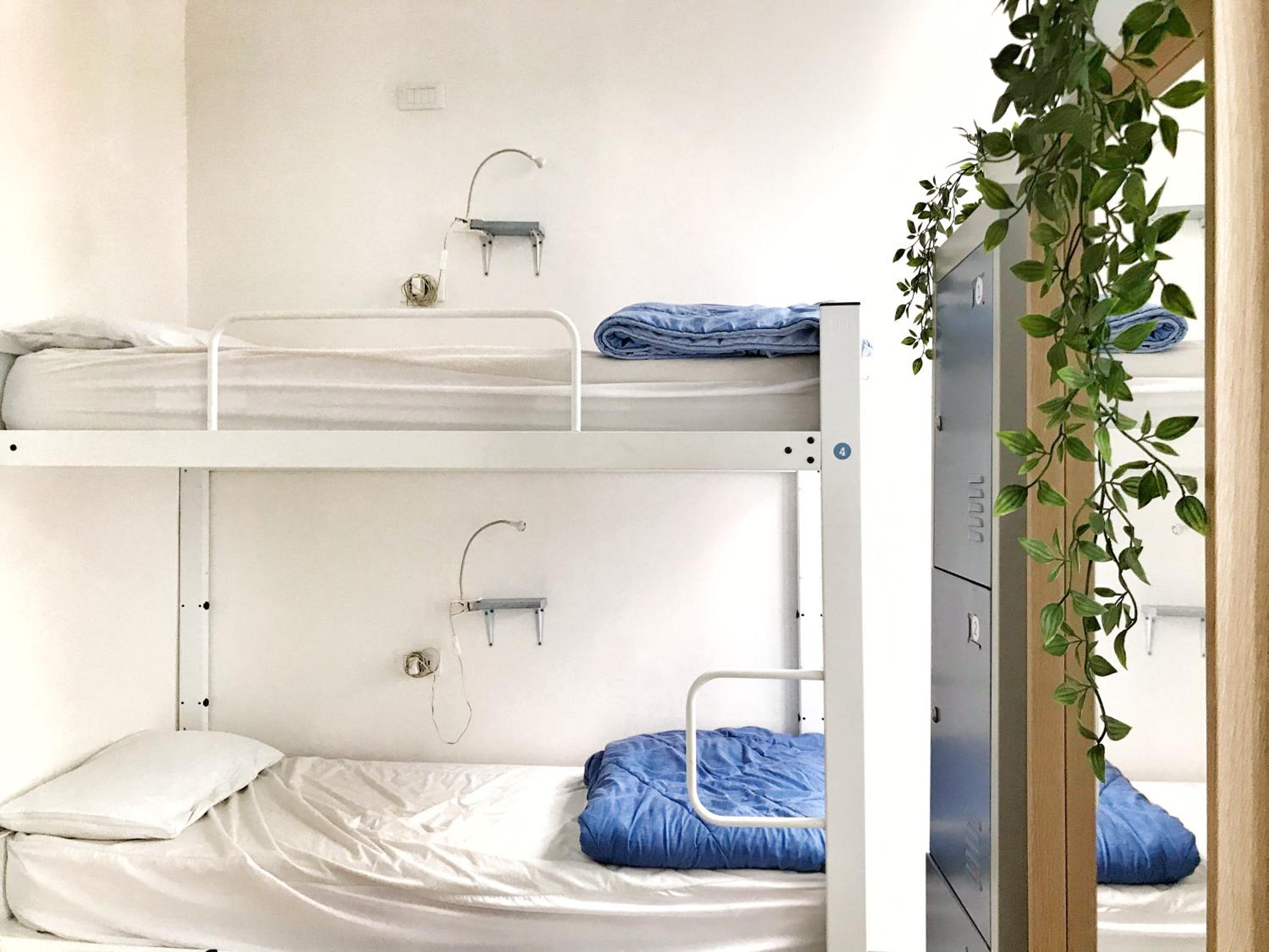 Bed in 4-Bed Mixed Dormitory Room photo 1