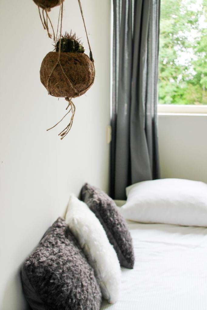 Large Double Room photo 1