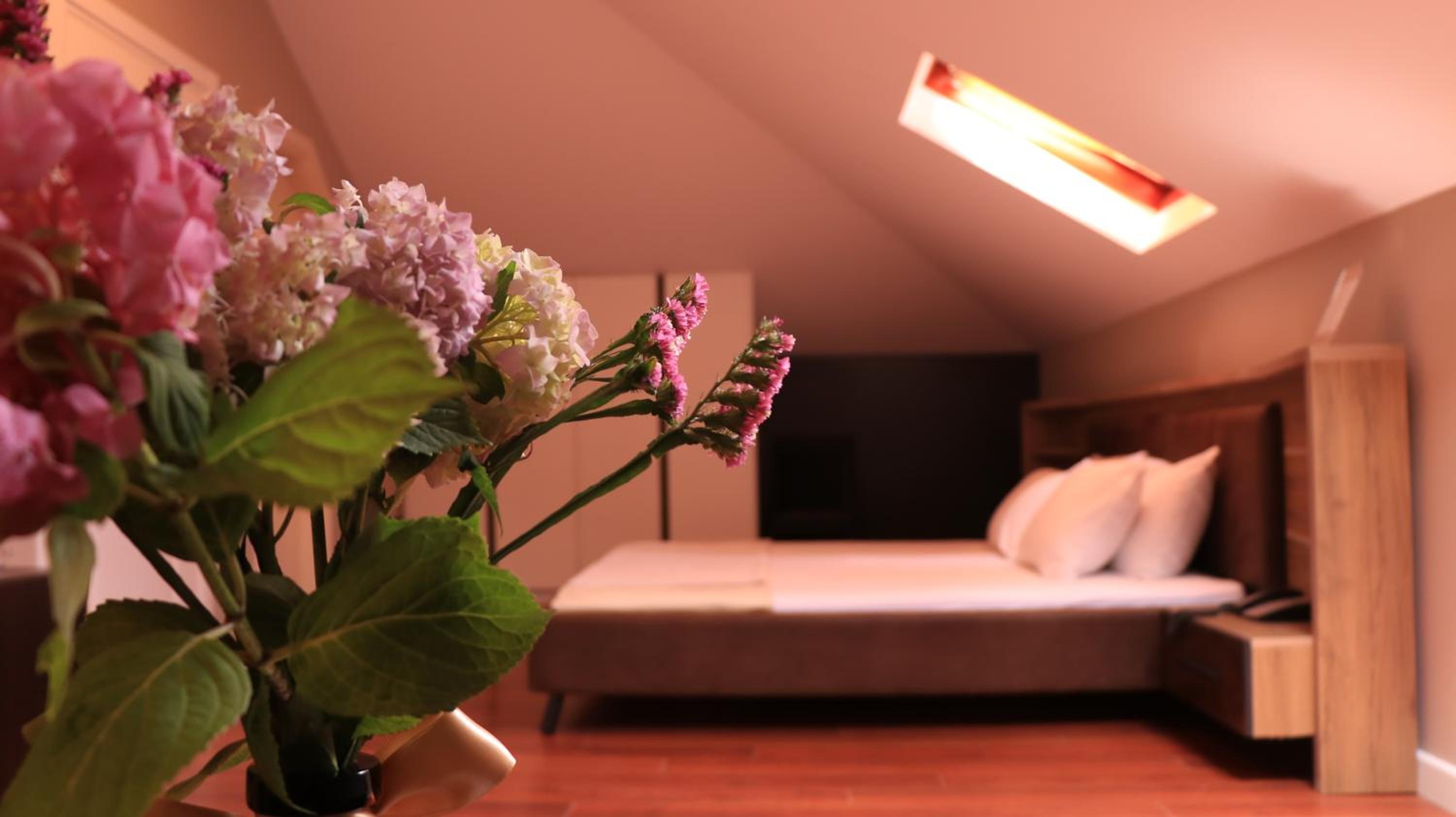 Basic Triple Room