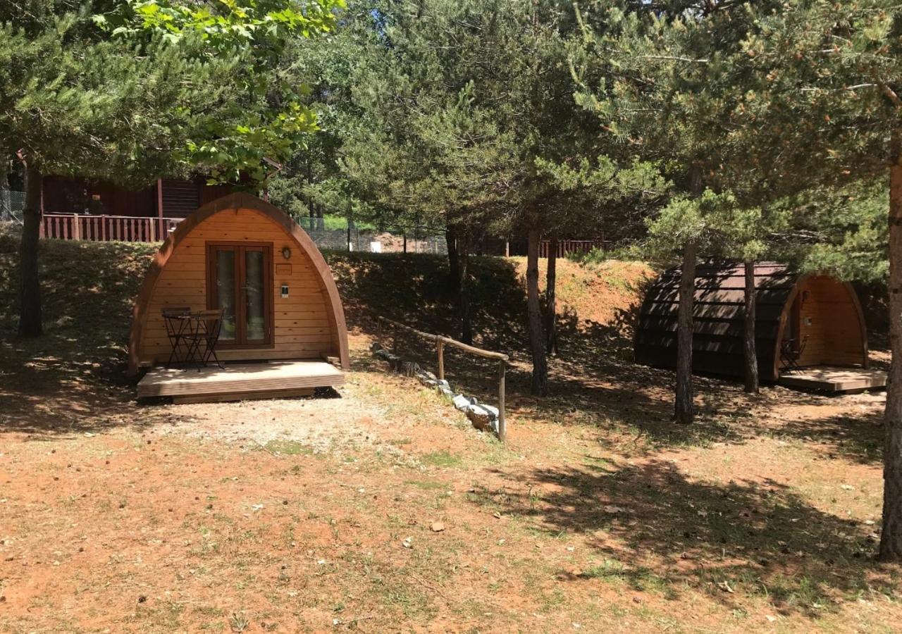 Glamping photo 3