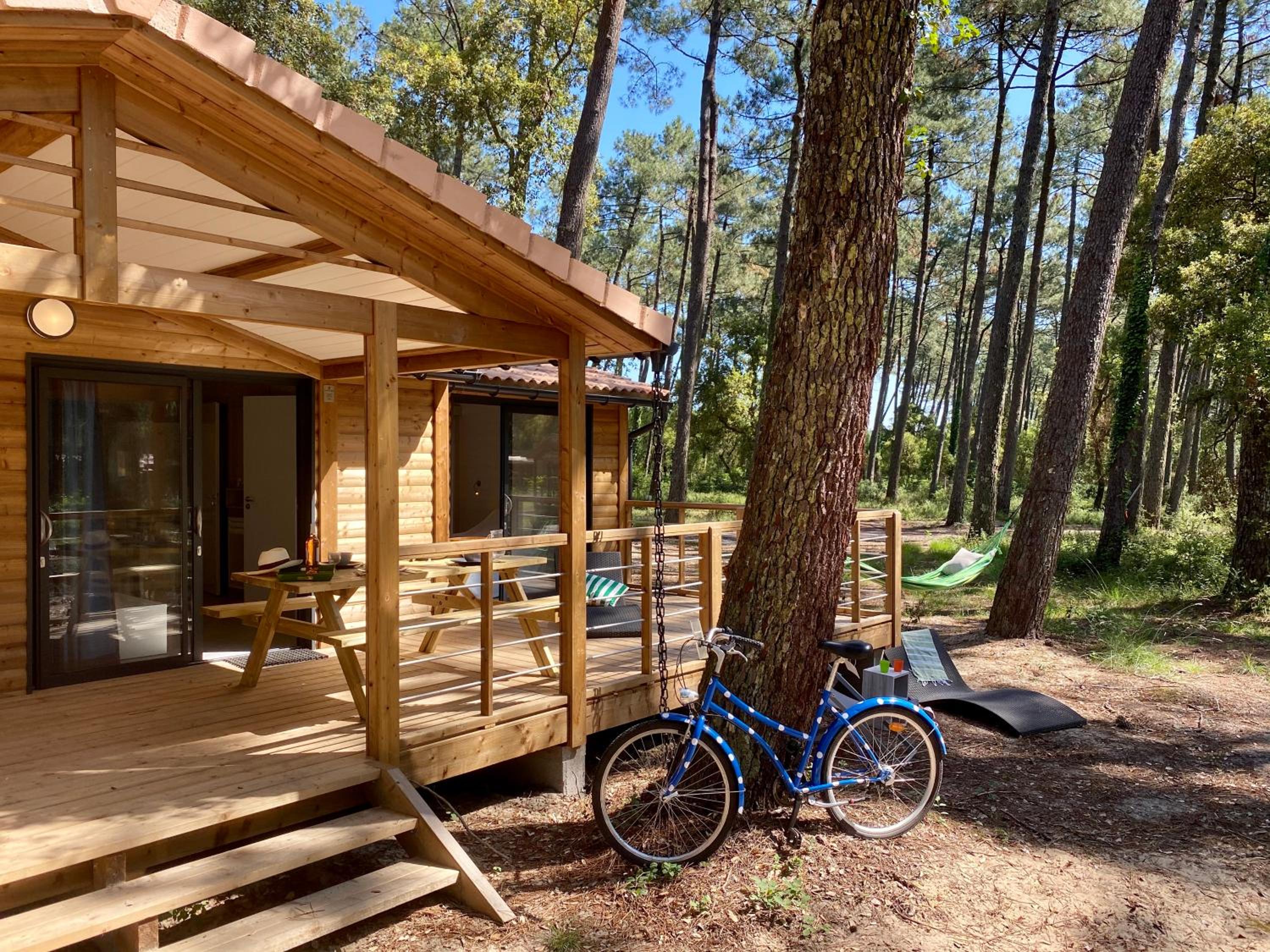 Three-Bedroom Chalet photo 1