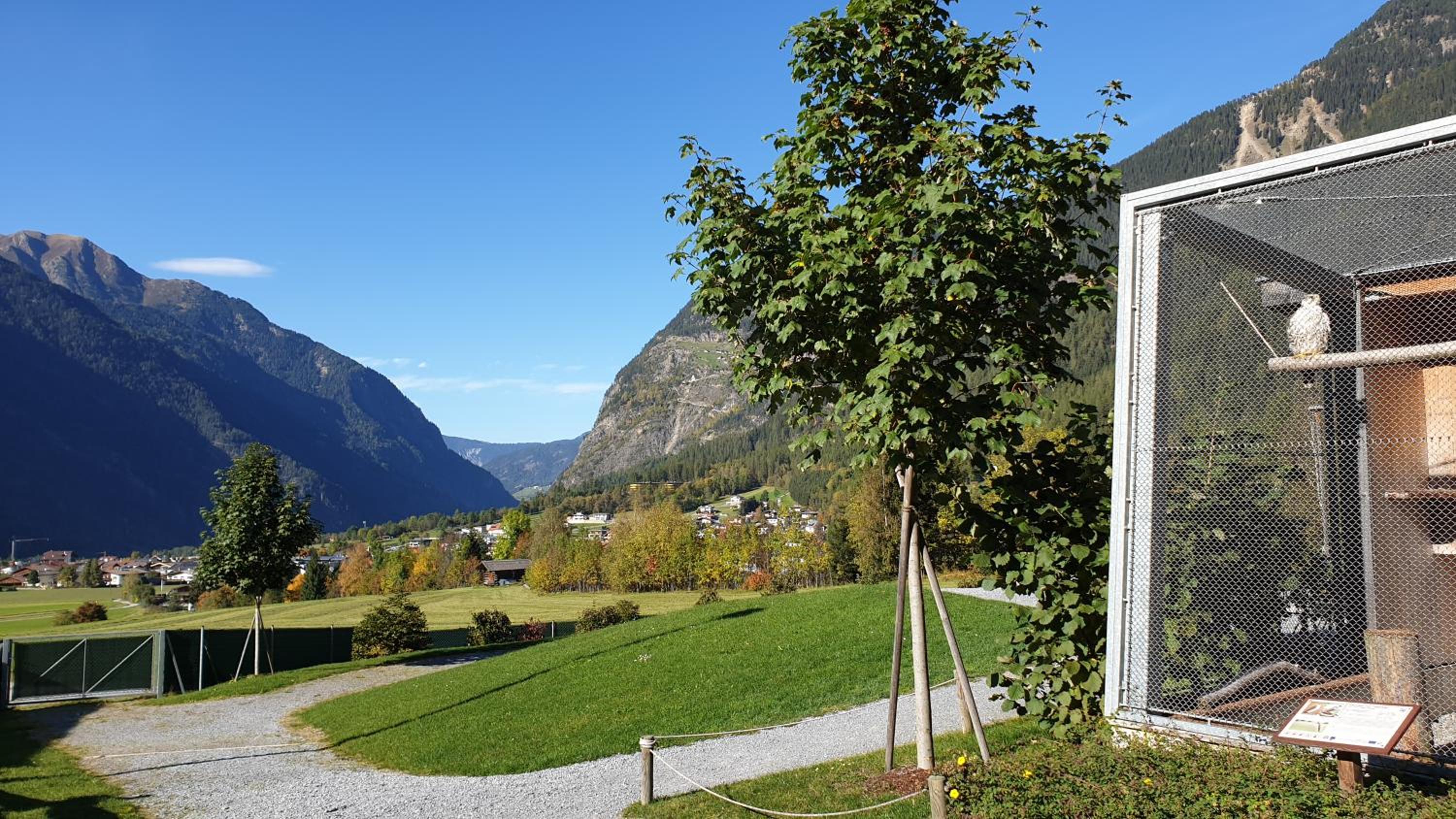 Apartment with Mountain View photo 3