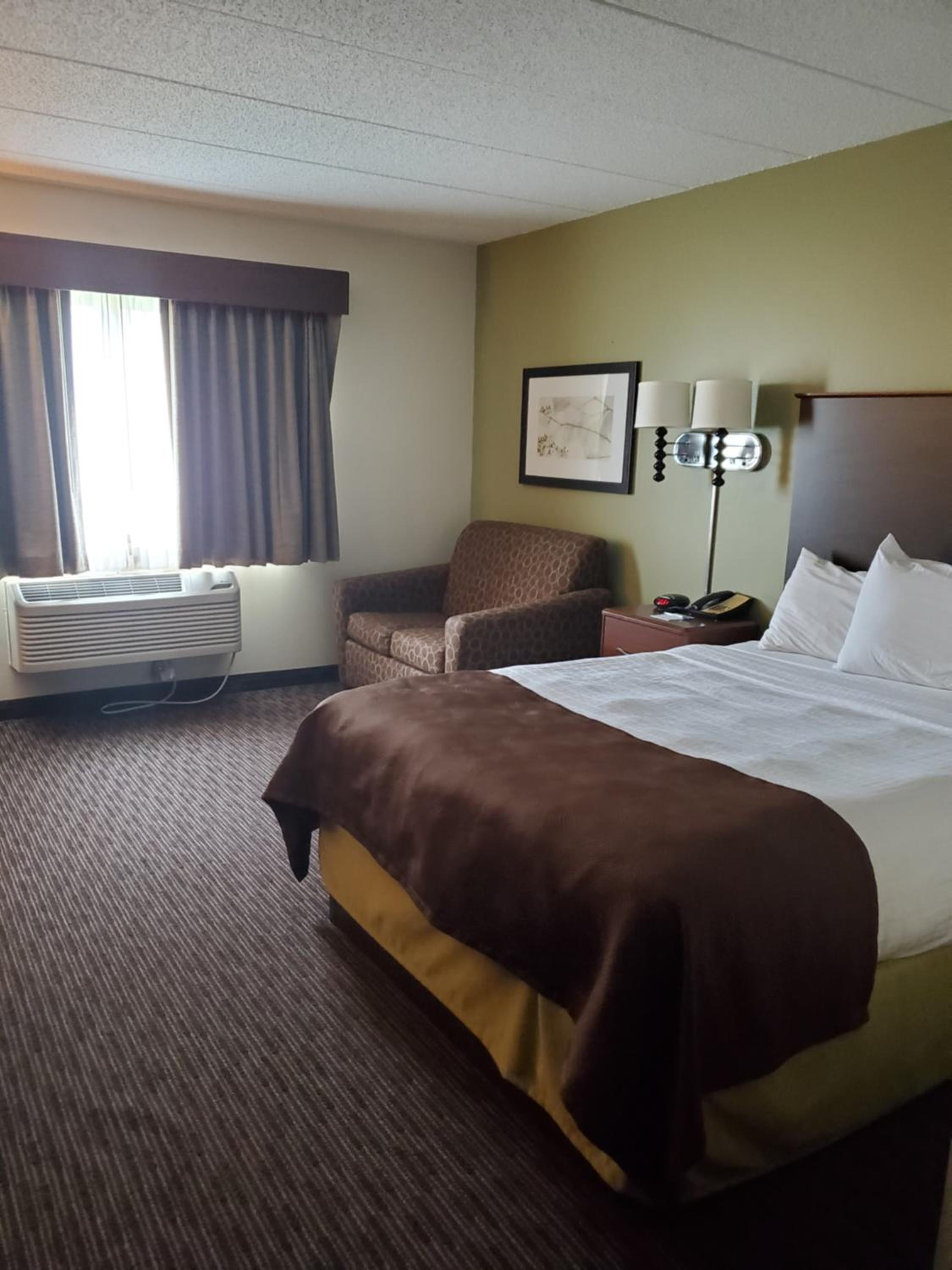 Single Room - Disability Access photo 1