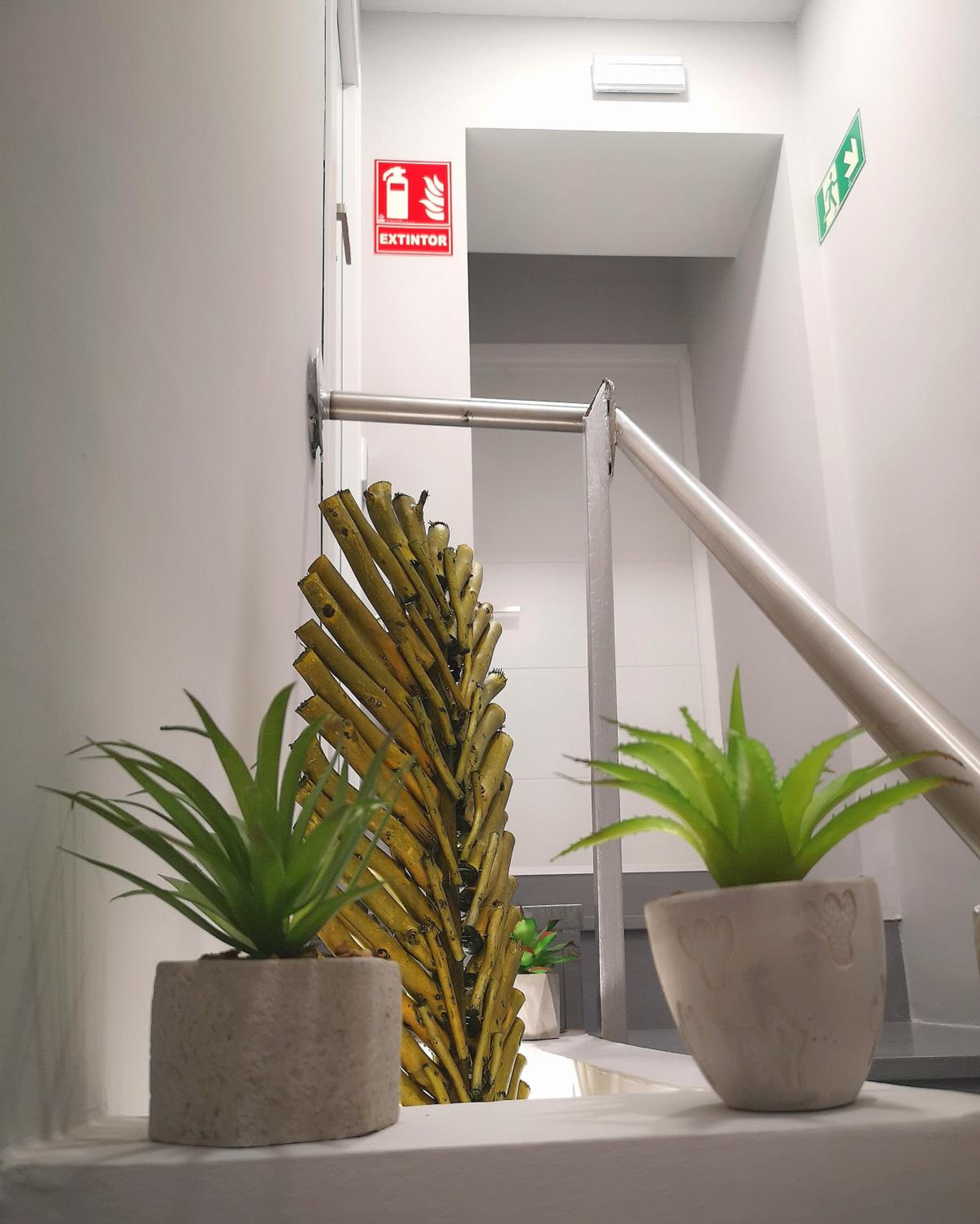Apartment with Terrace - Jupiter - Photo 29