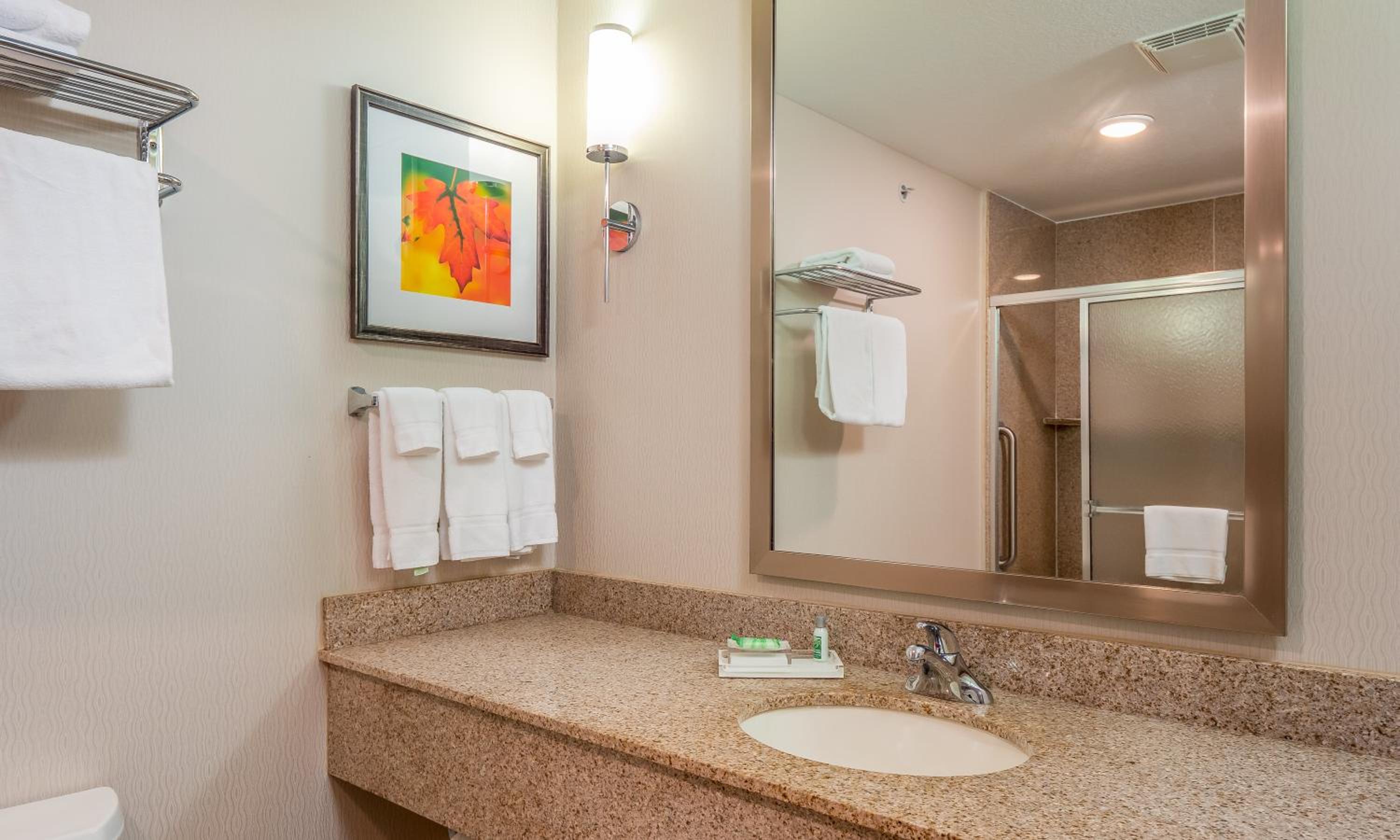 King Suite - Photo 3