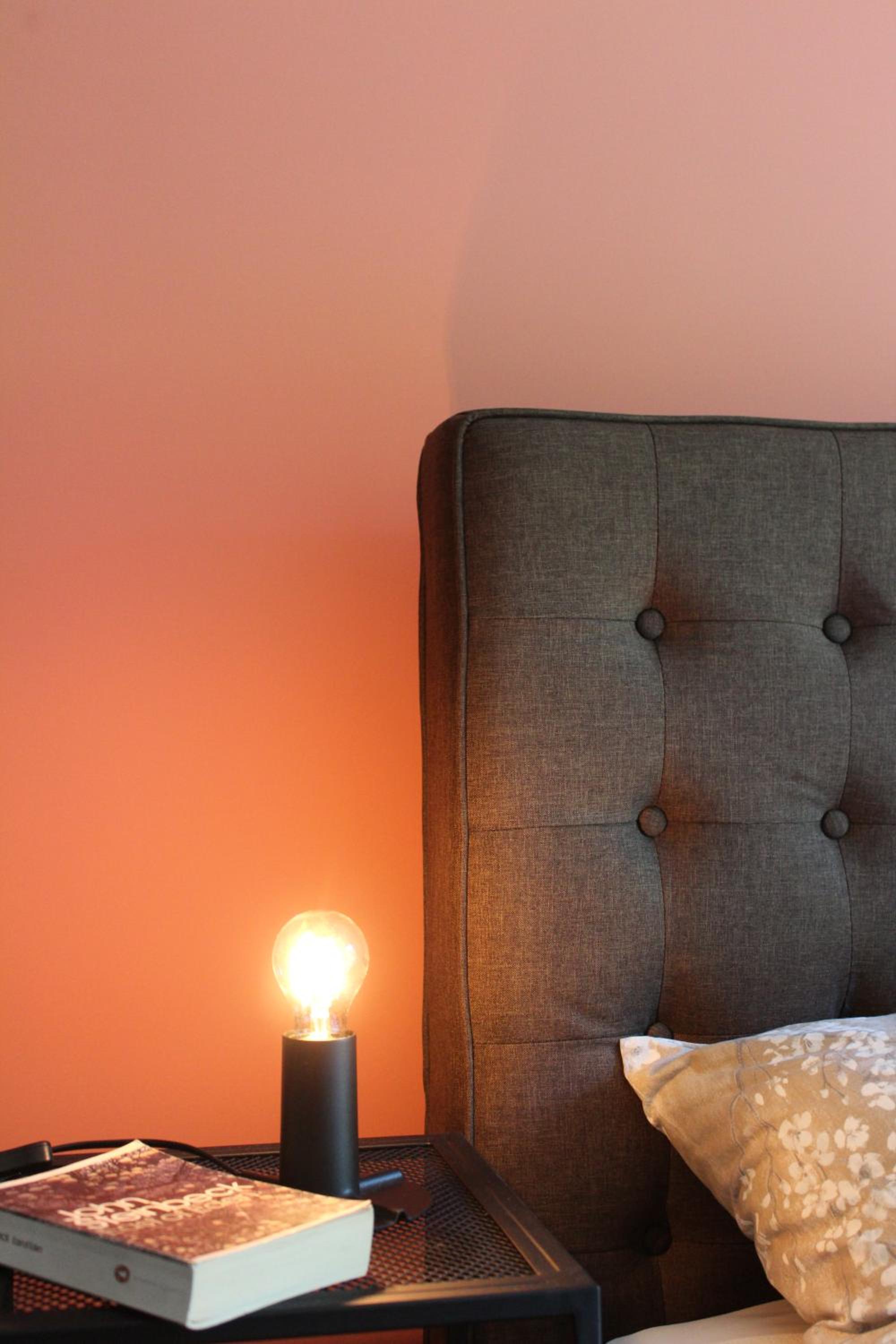 One-Bedroom Apartment - Photo 5