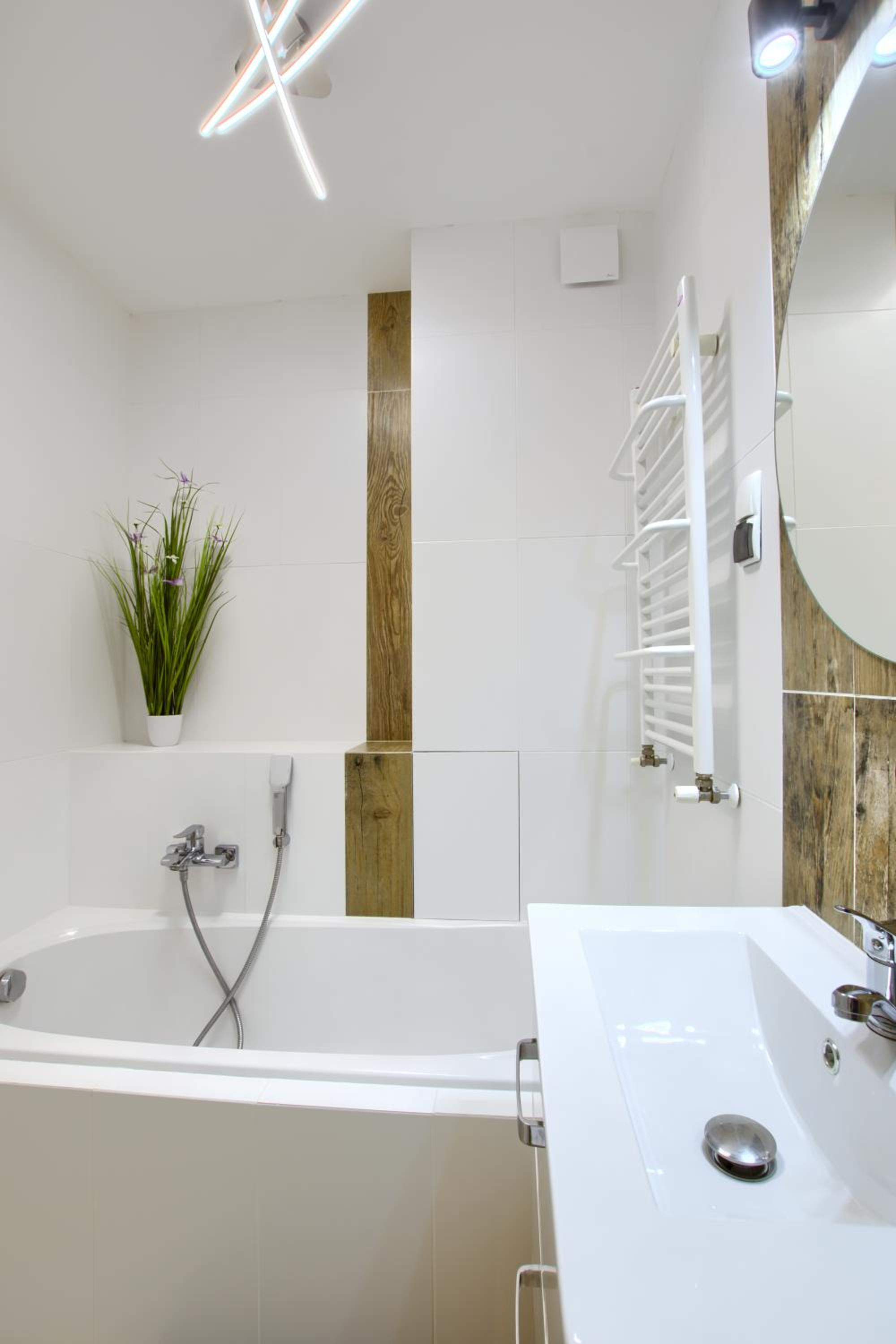 Apartment with Terrace photo 3