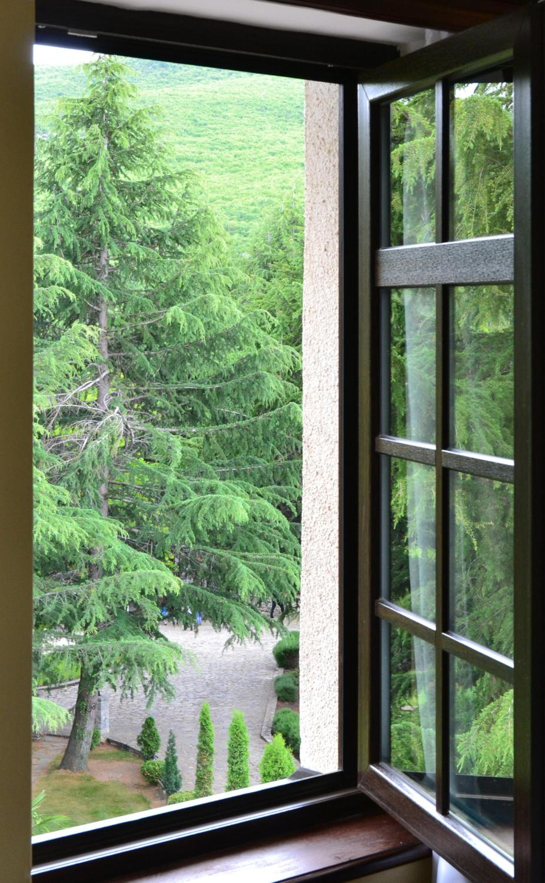 Junior Suite with Mountain View - Photo 5