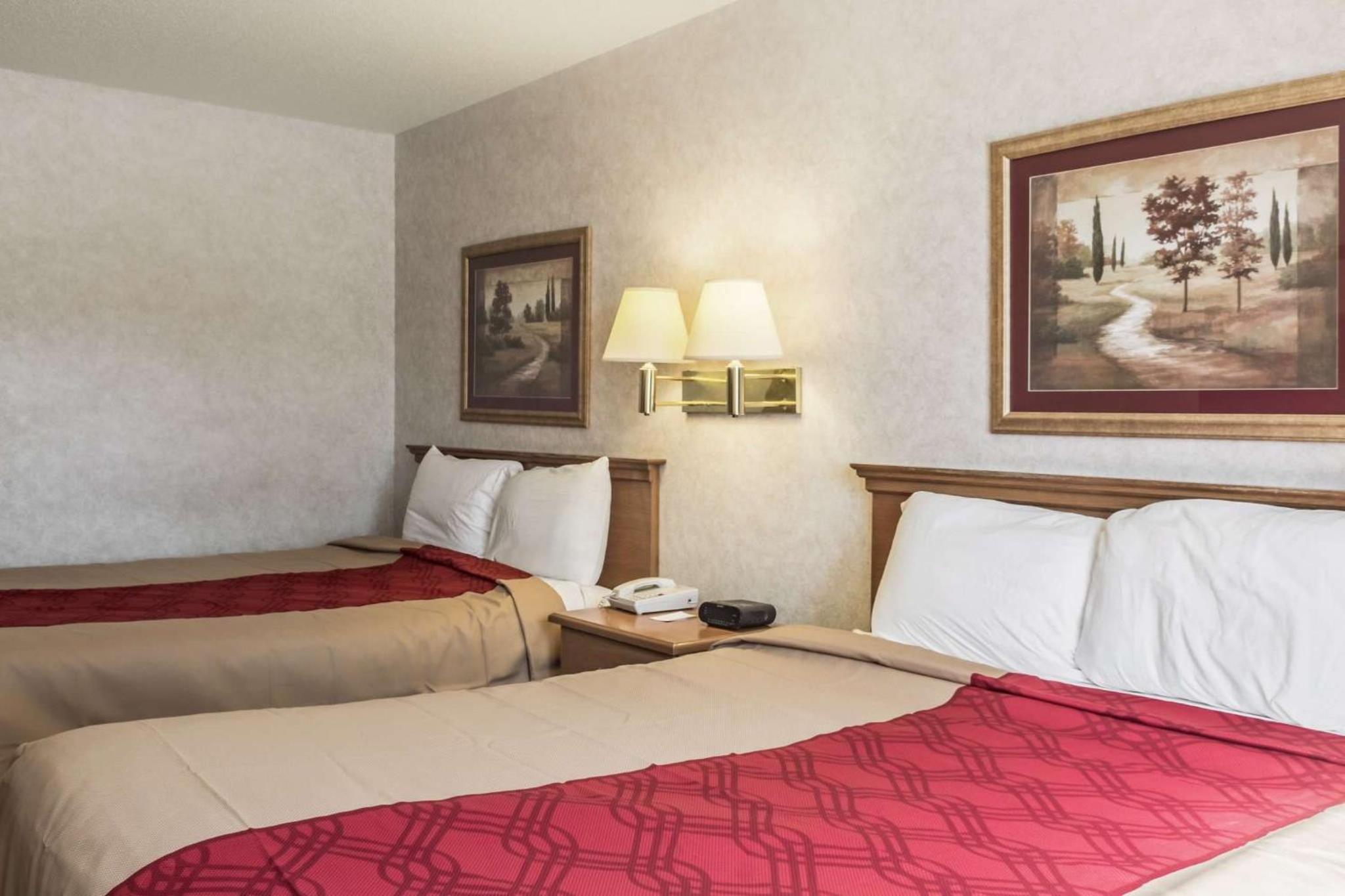 Superior Queen Room with Two Queen Beds - Non-Smoking