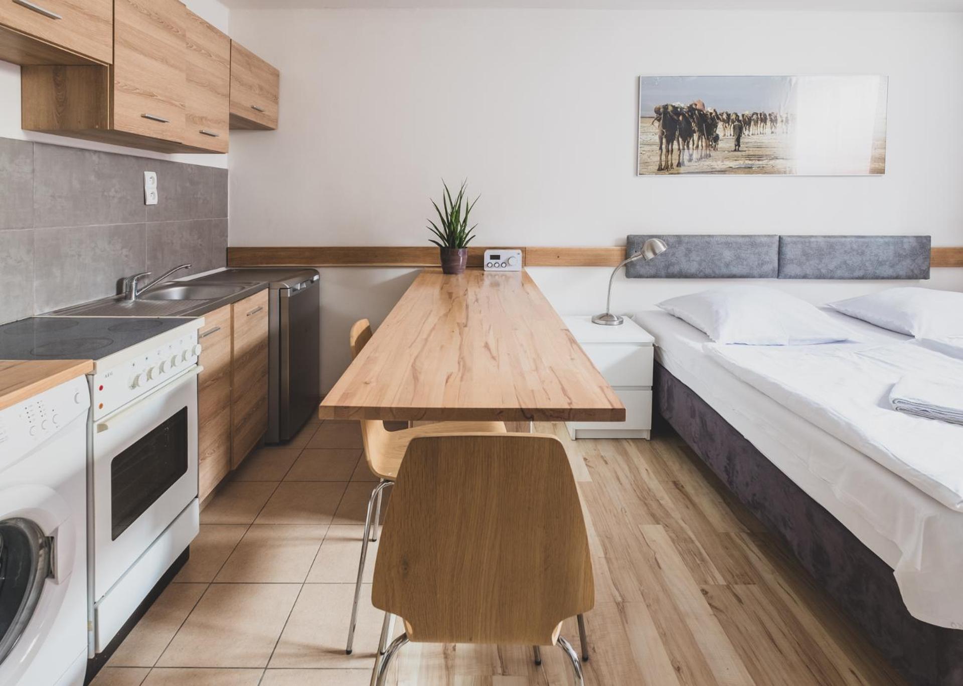 Studio Apartment photo 3