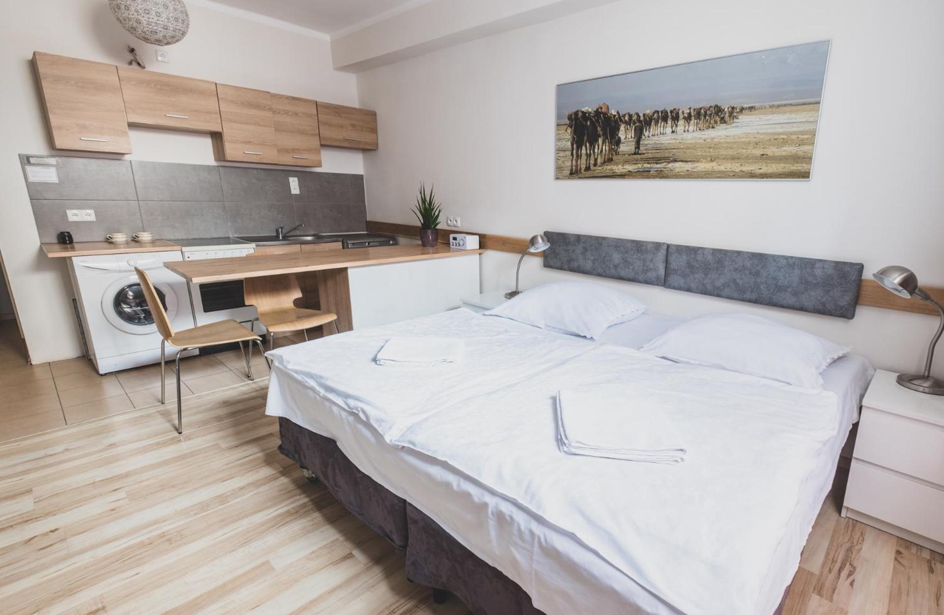Studio Apartment photo 1