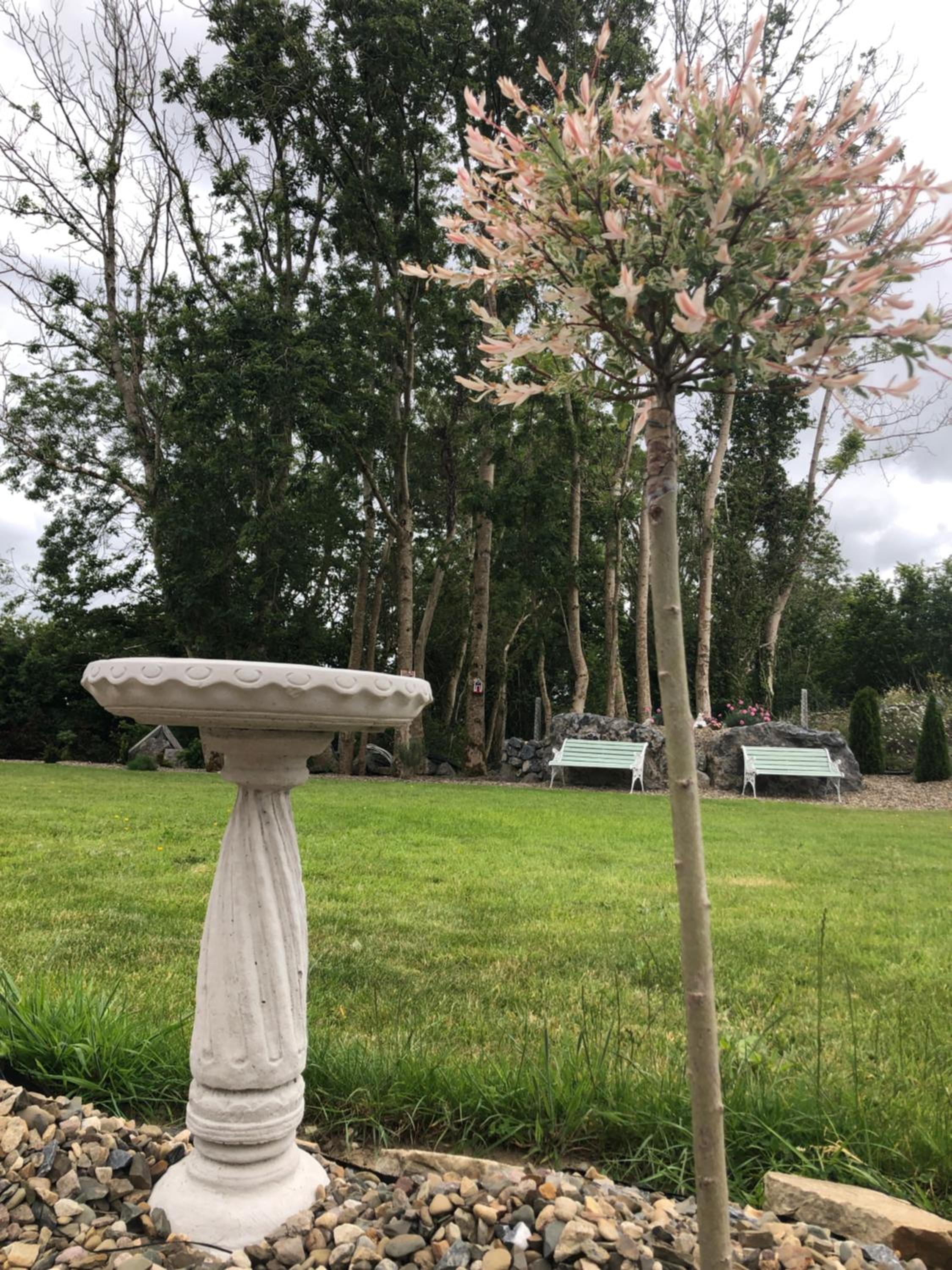 Vacation Home - Photo 16