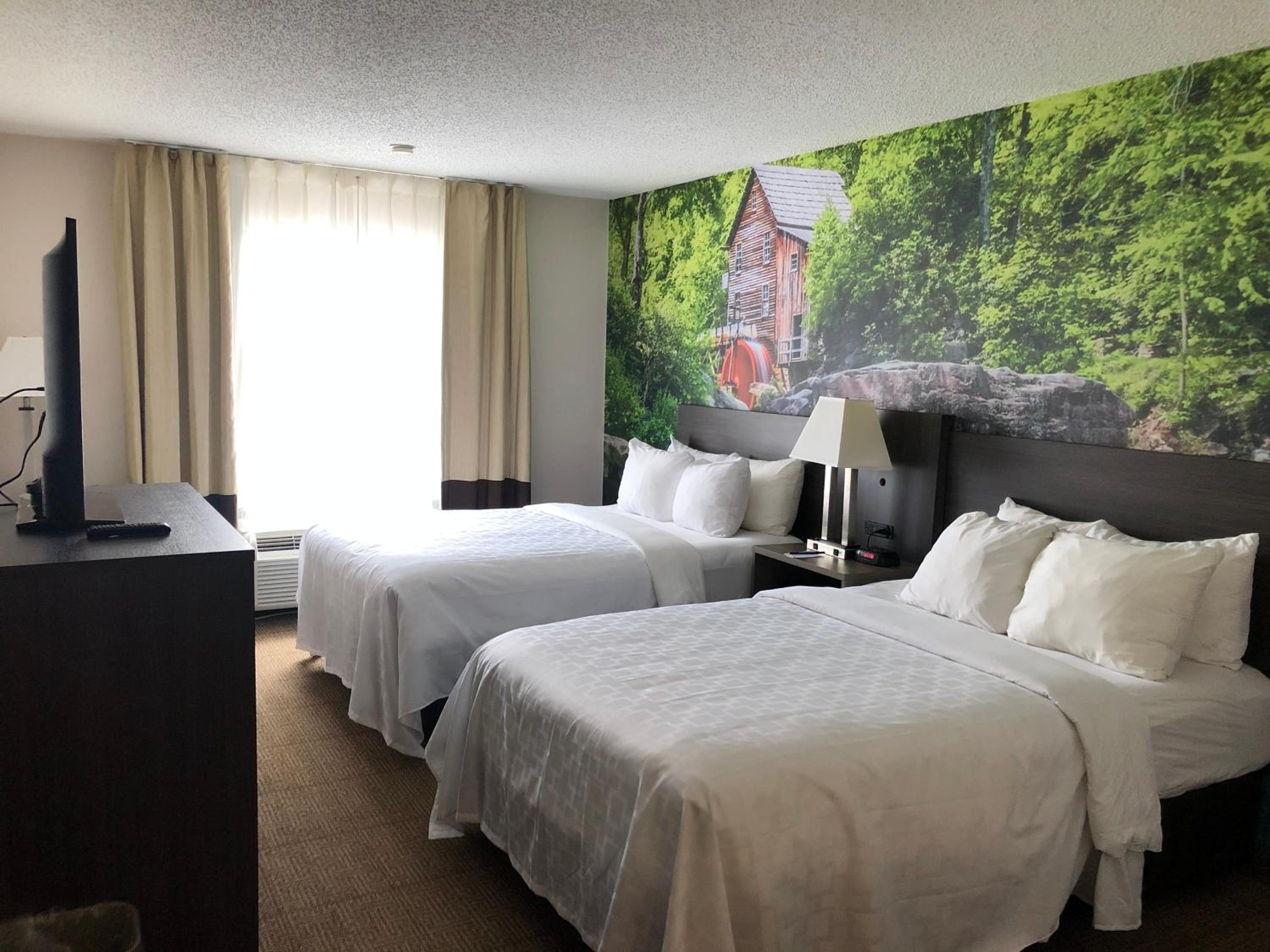 Double Room with Two Double Beds - Non-Smoking/Pet Friendly - Photo 14