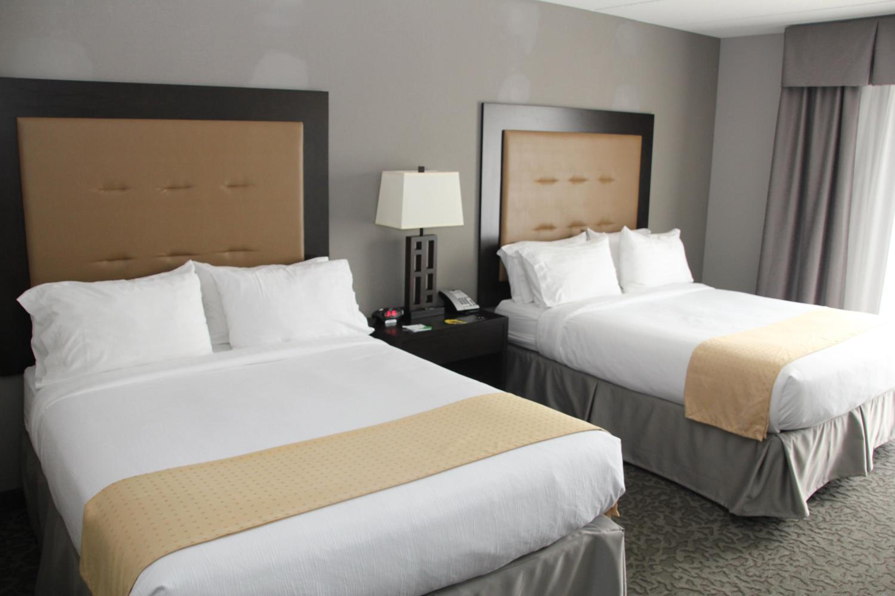 One-Bedroom Suite with Sofa Bed photo 2