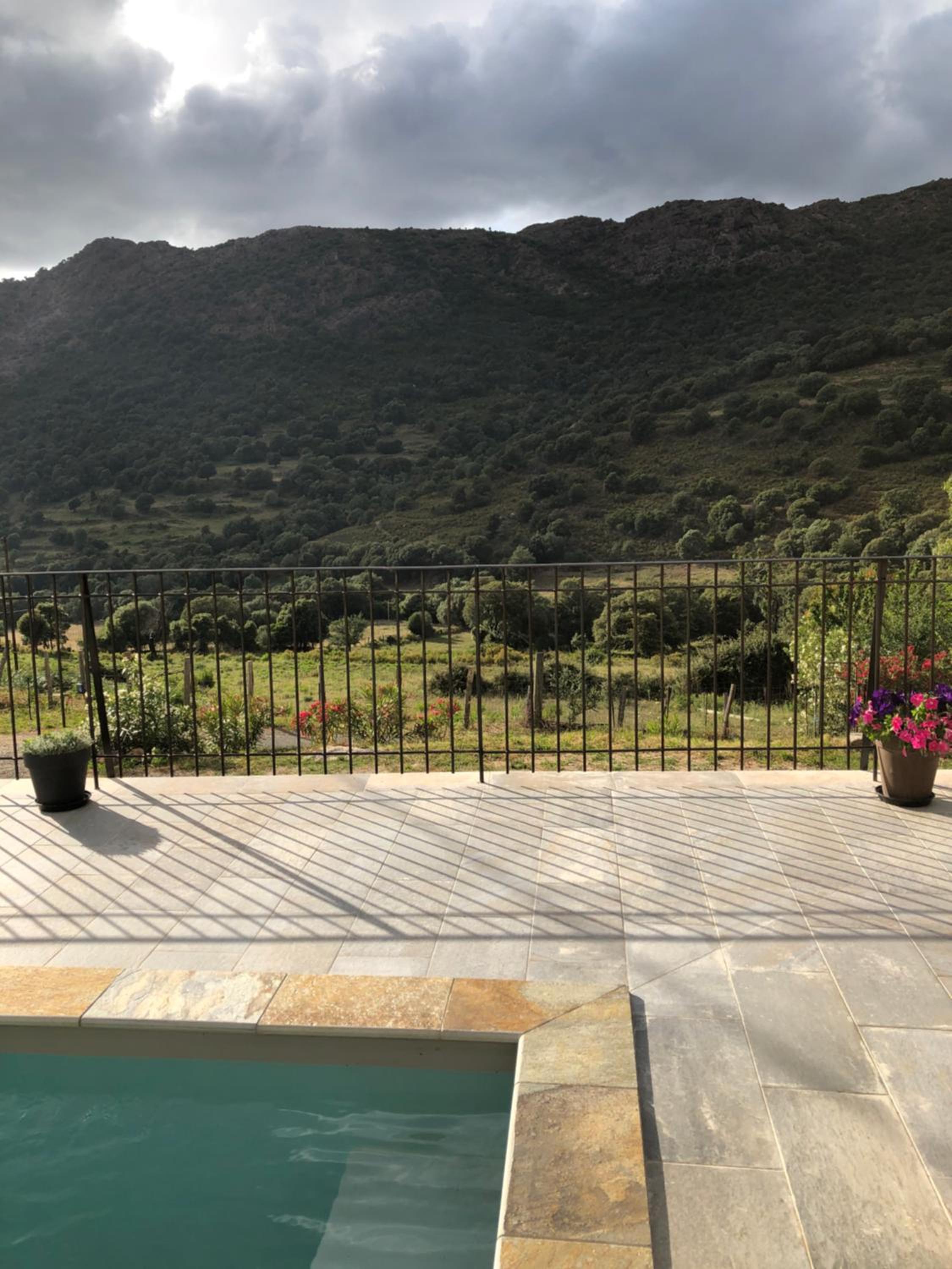 Double Room with Pool View photo 3