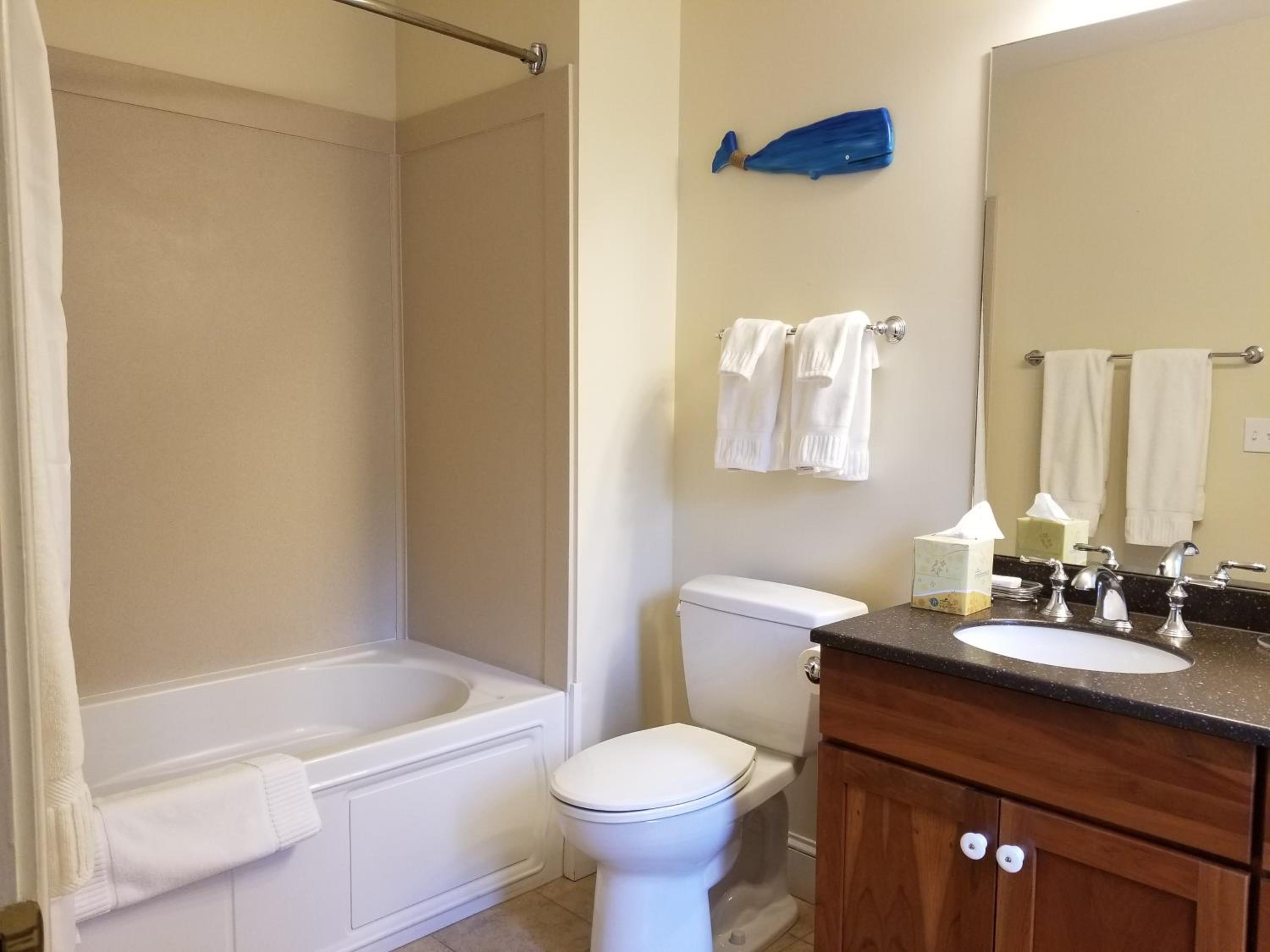 Deluxe Queen Suite photo 2
