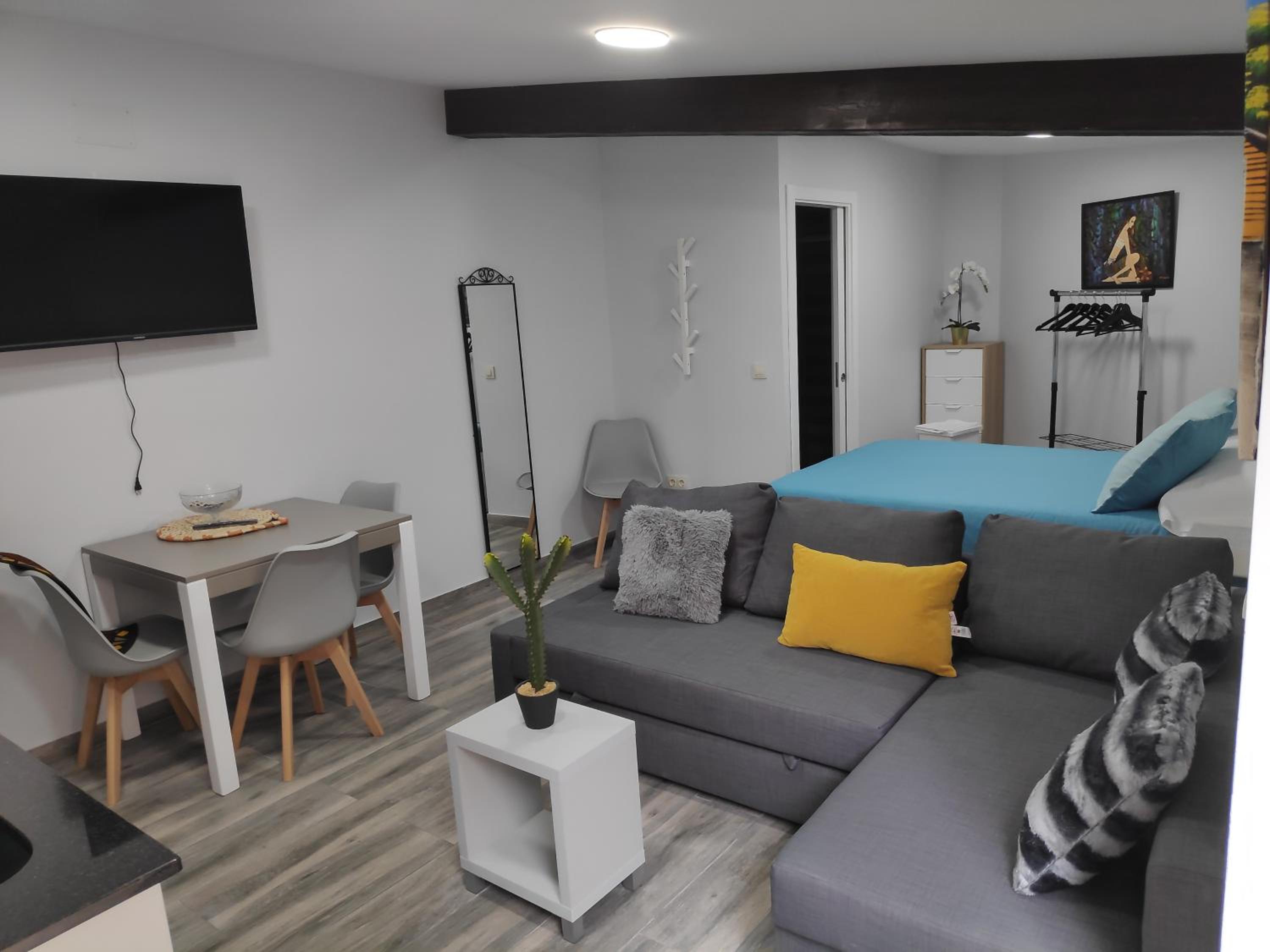 Studio Apartment - Photo 2