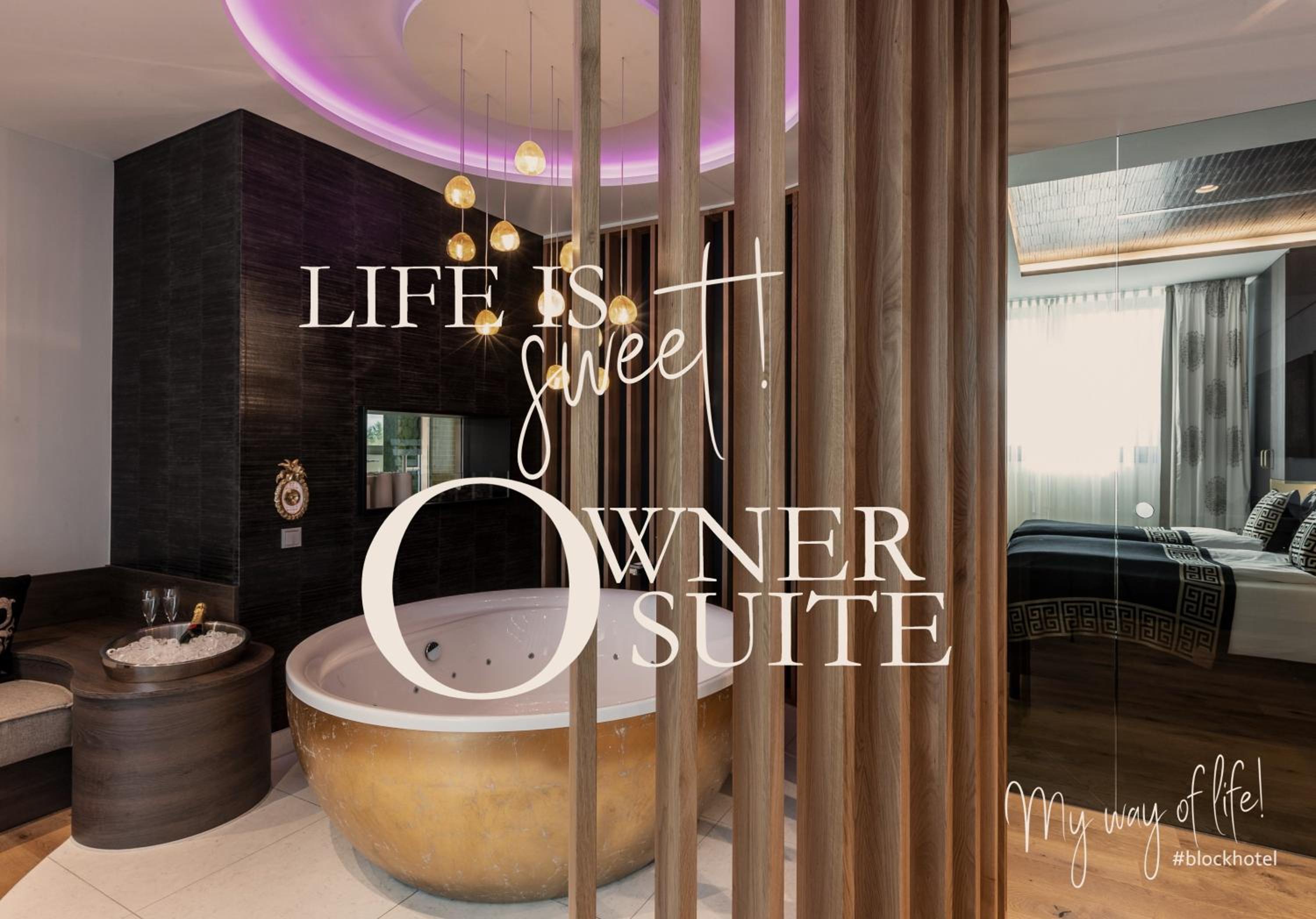 Owner Suite - Photo 21