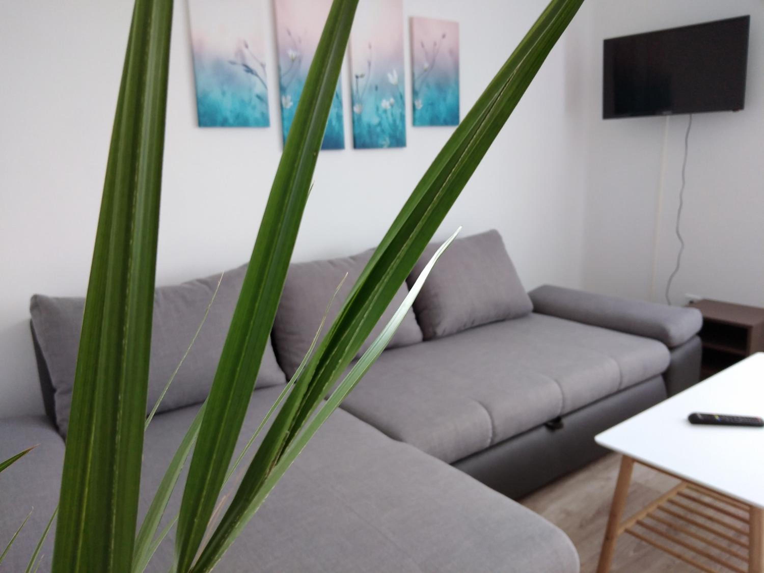 Apartment with Garden View - Photo 1