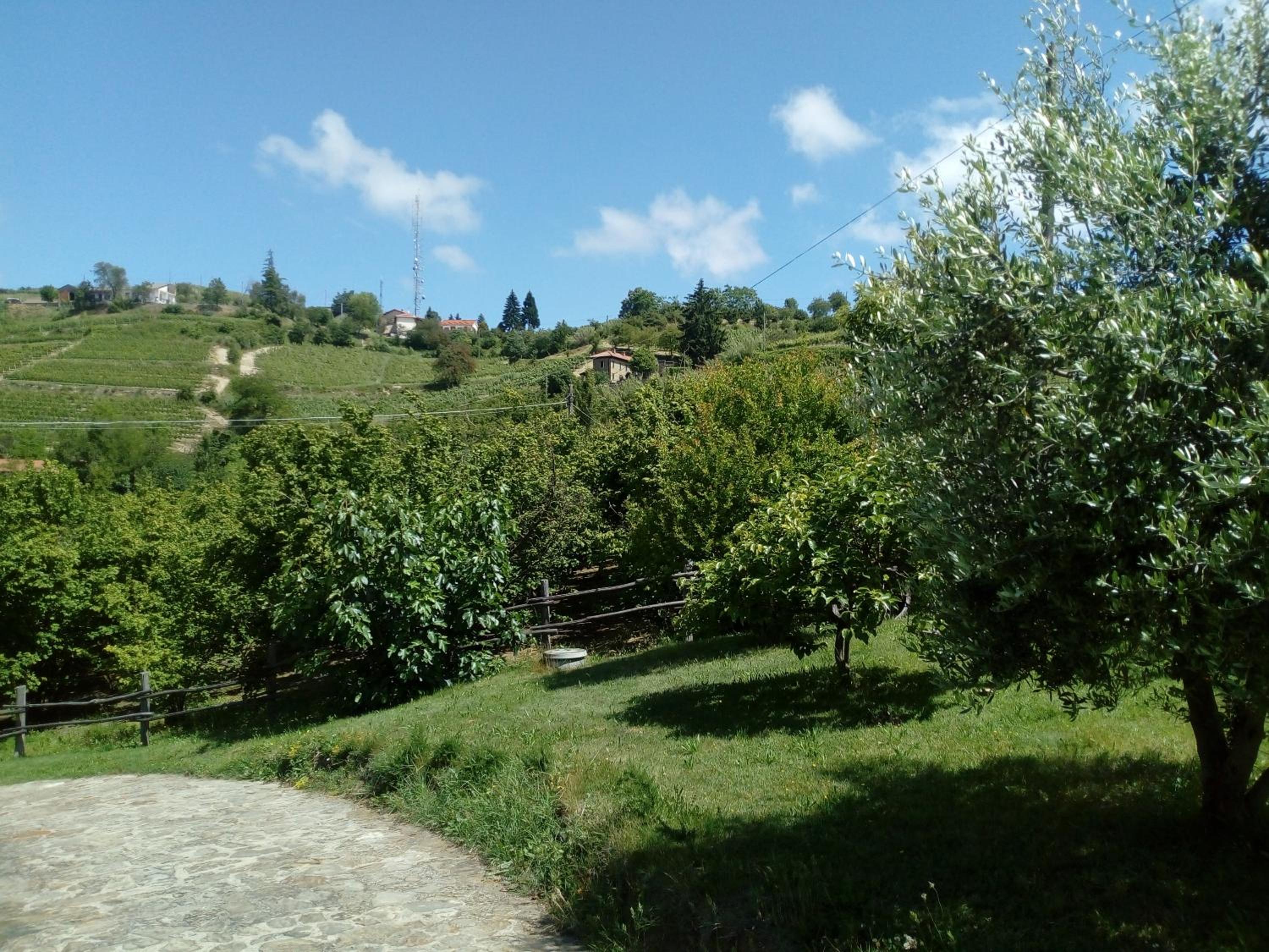 Apartment with Garden View - Photo 12